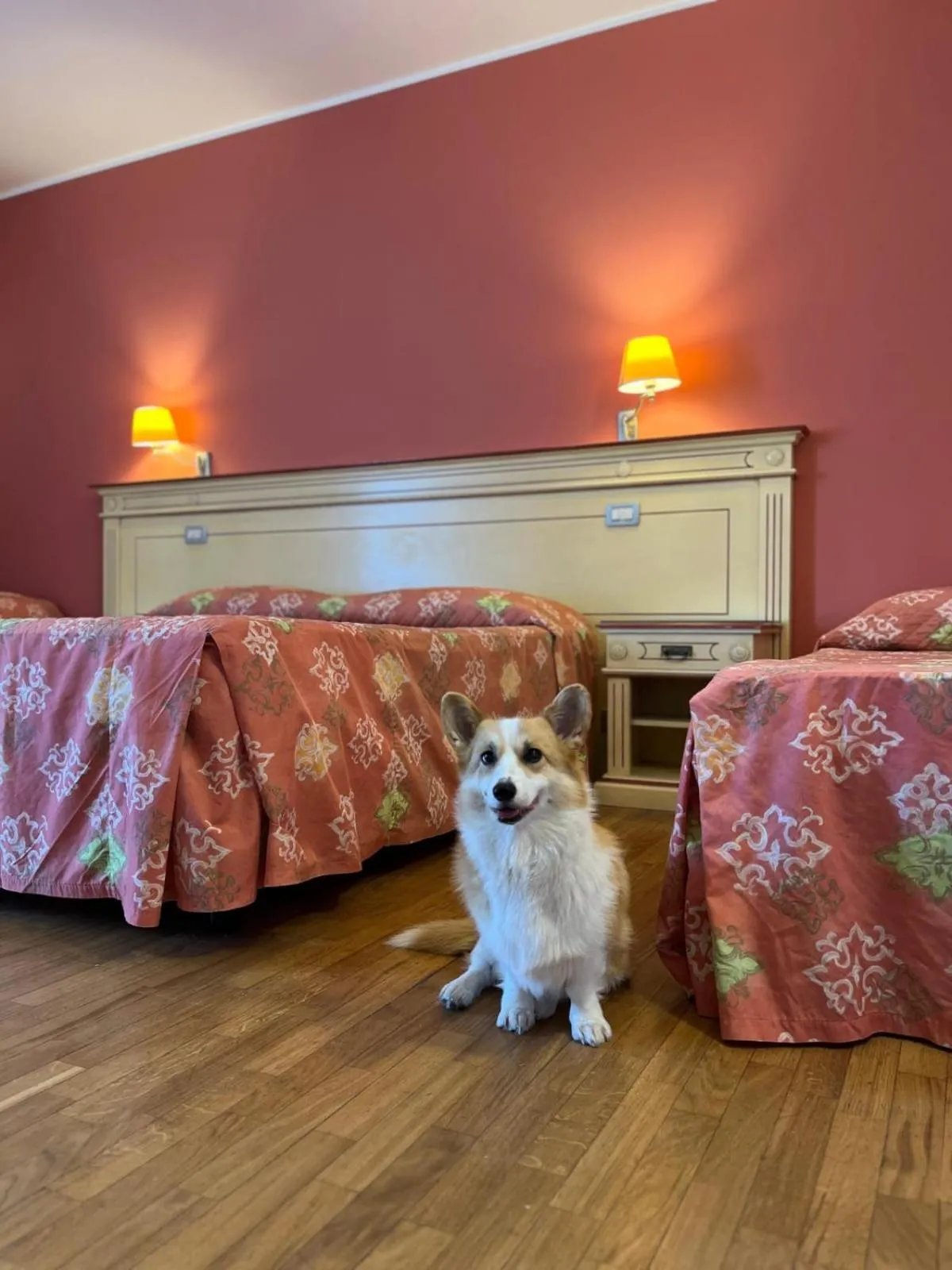 Pets in Hotel Matteotti