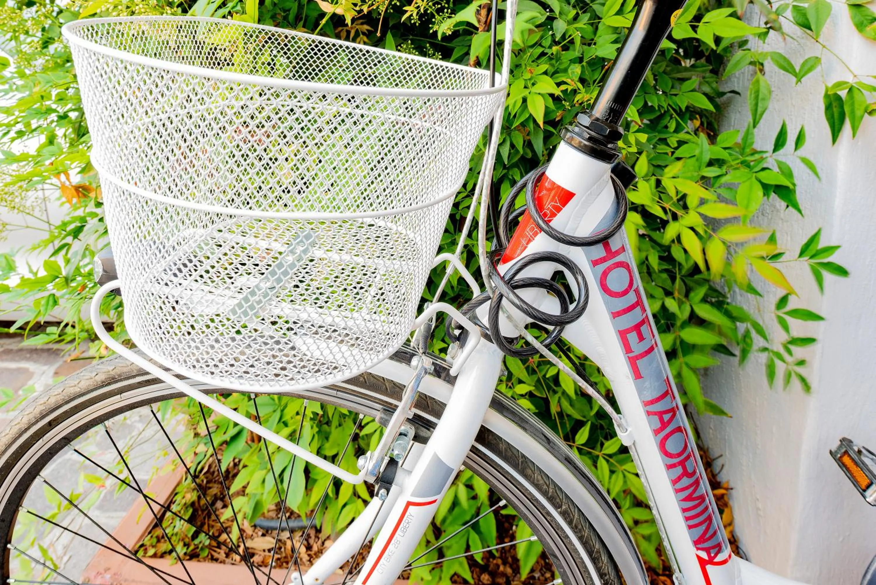 Activities in Hotel Taormina