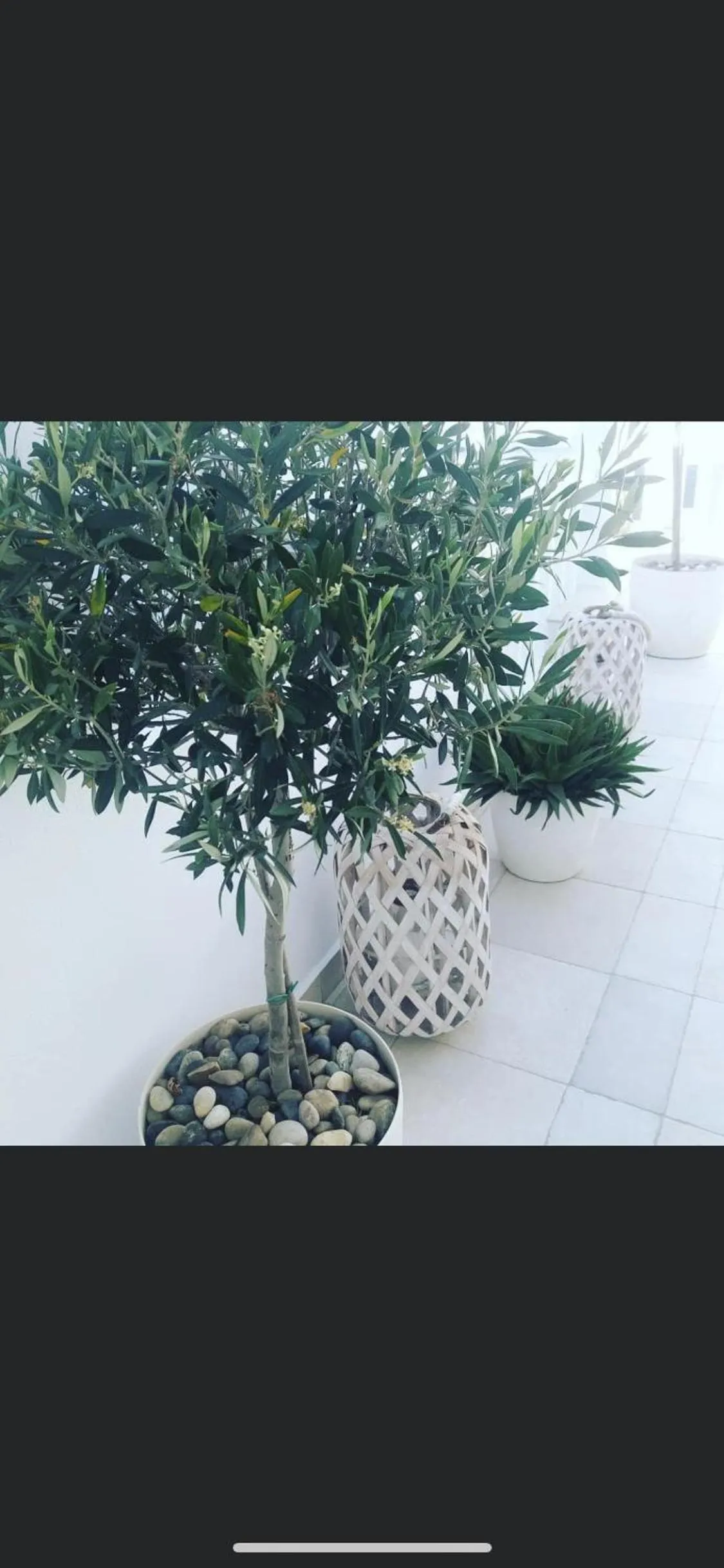 Patio in Ibiscus Boutique