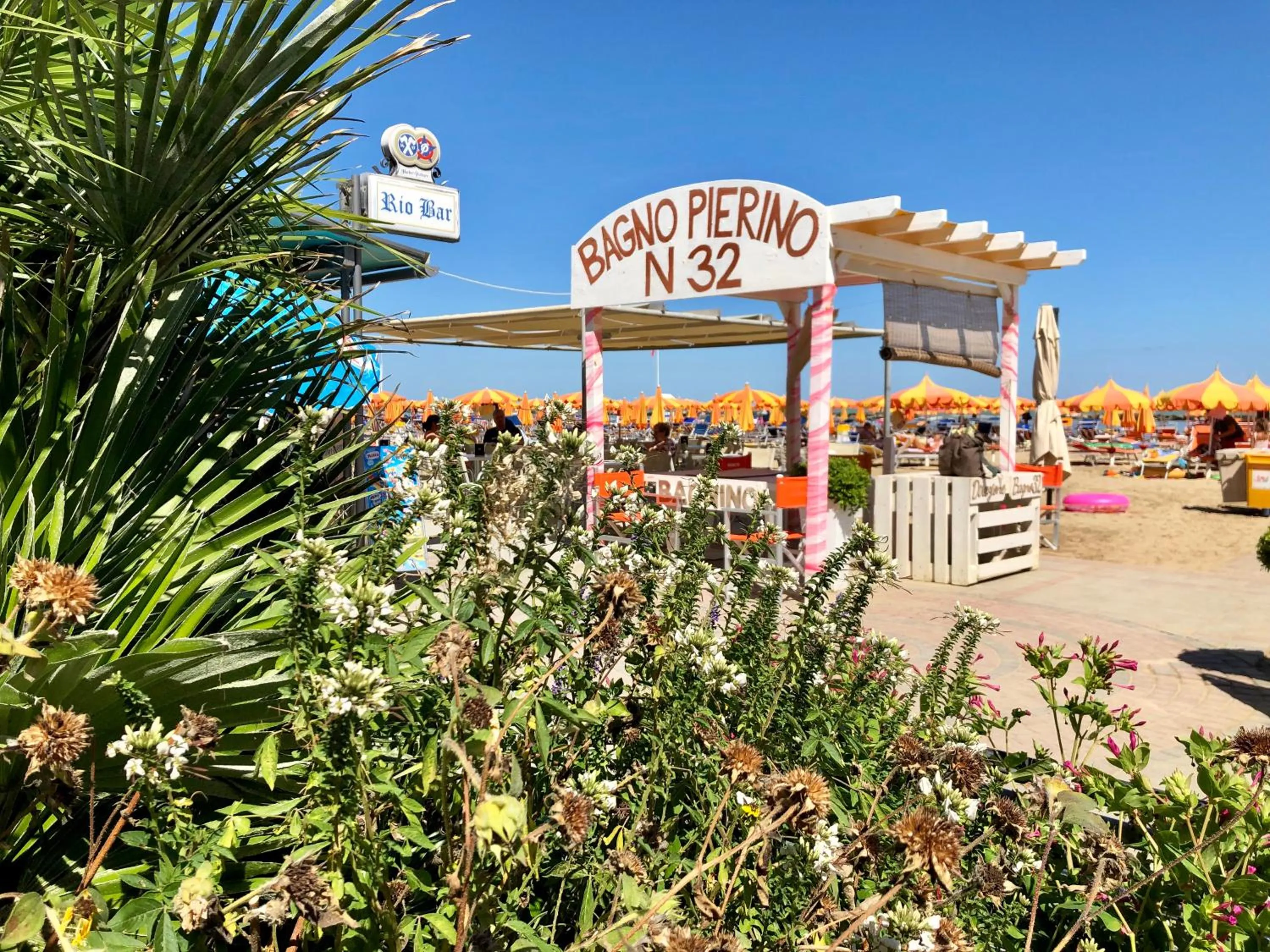 Beach in Hotel La Conchiglia