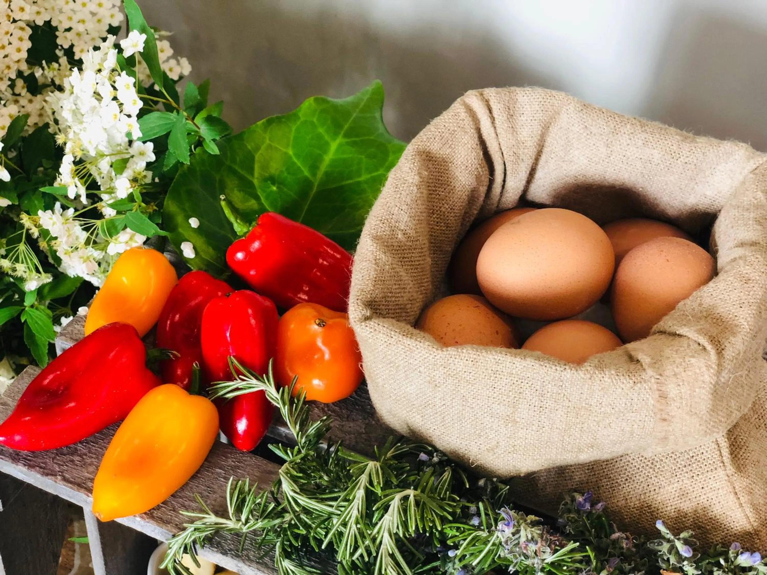 Food in Hotel La Conchiglia