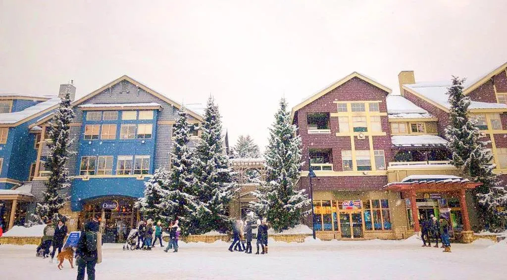 Property building in Tyndall Stone Lodge by Whiski Jack