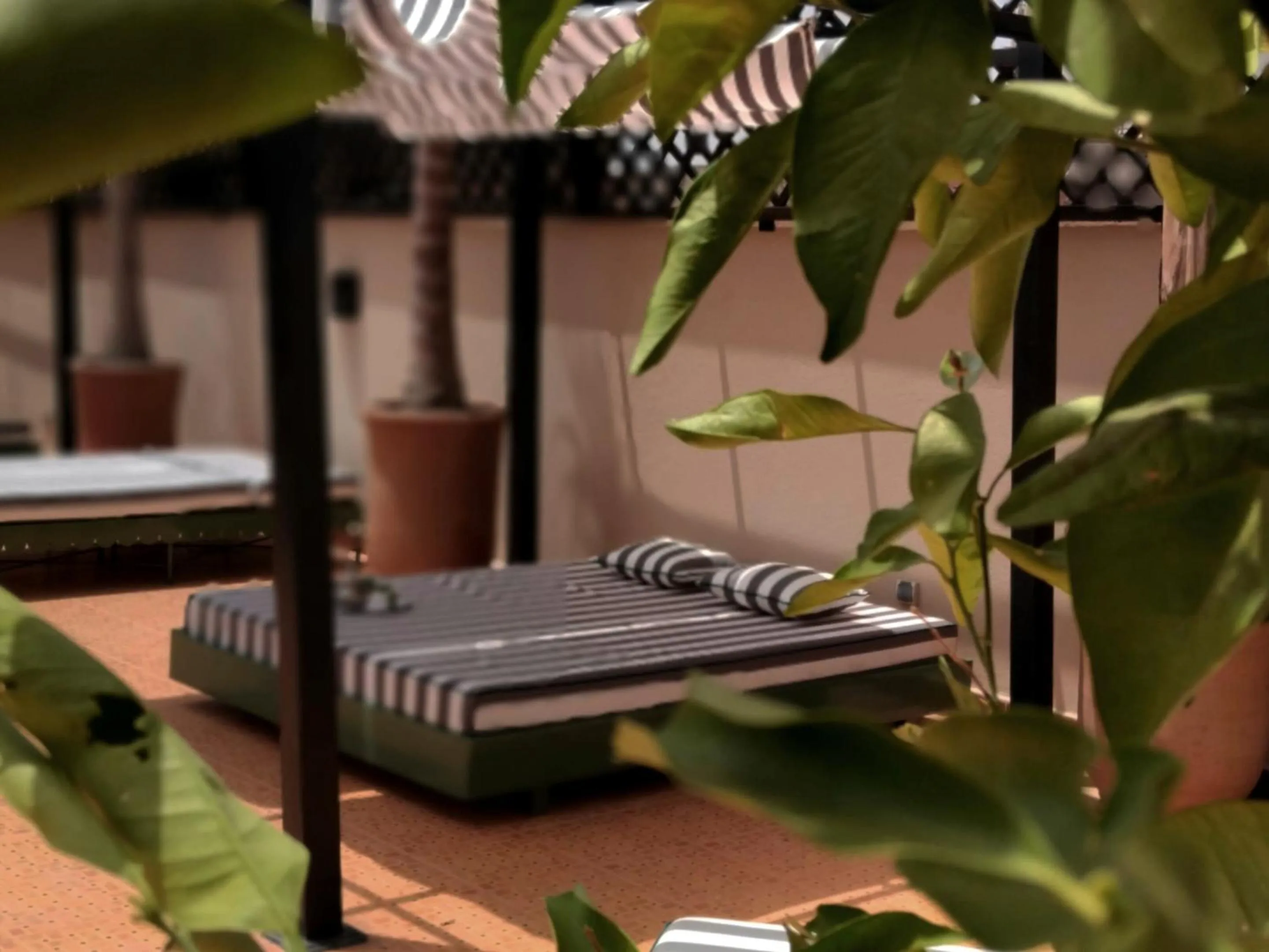 Patio in Riad Yakimour