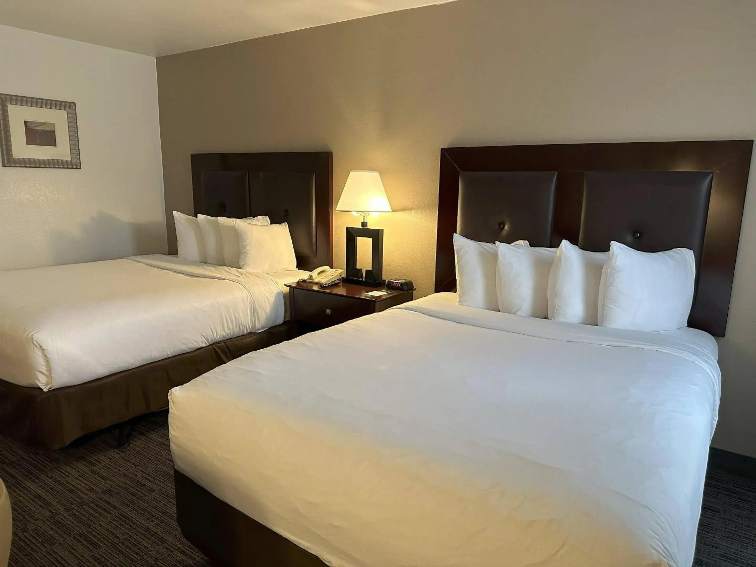 Bedroom, Bed in Quality Inn & Suites Everett Bedroom, Bed in Quality Inn & Suites Everett