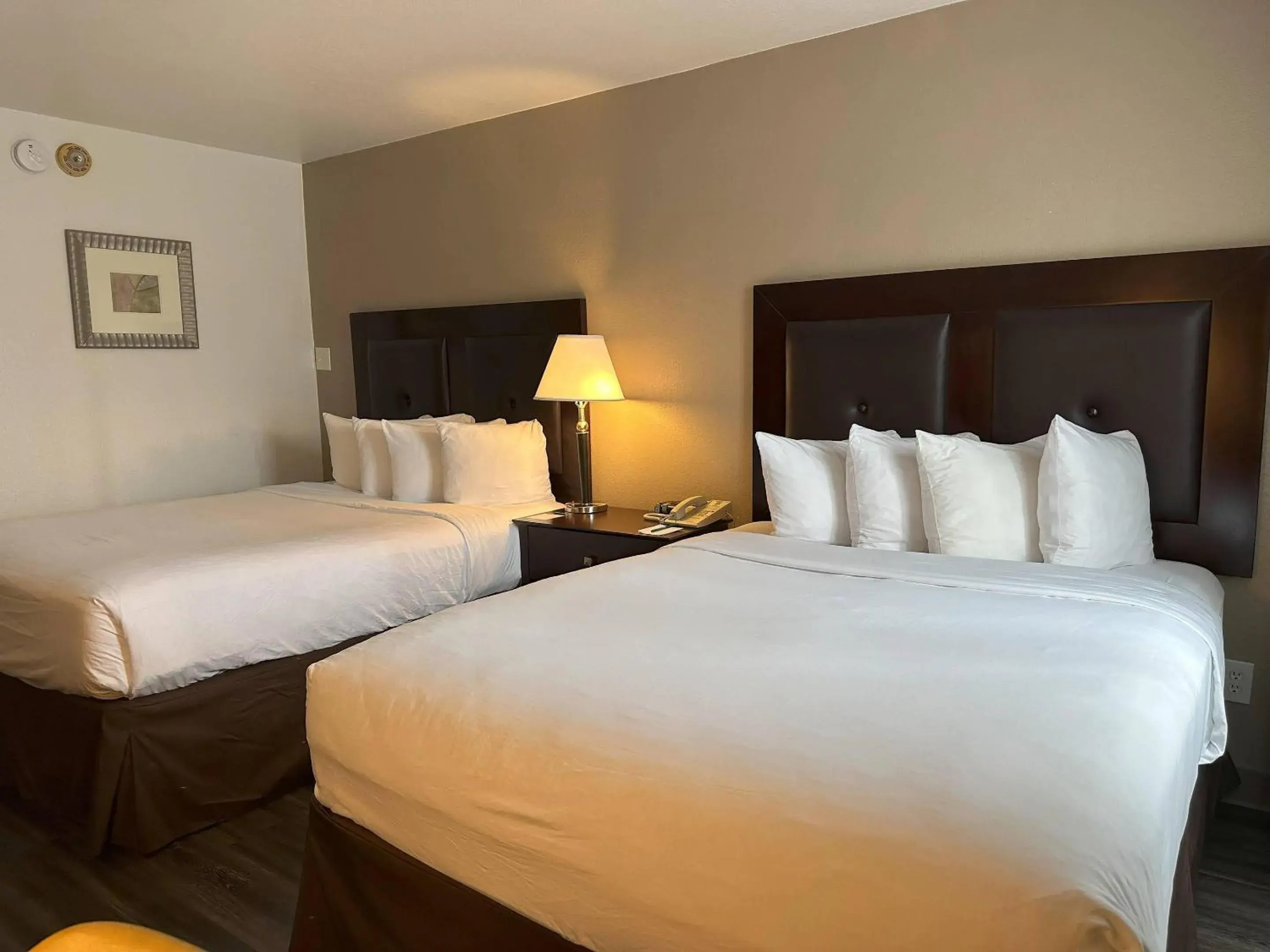 Bedroom, Bed in Quality Inn & Suites Everett Bedroom, Bed in Quality Inn & Suites Everett