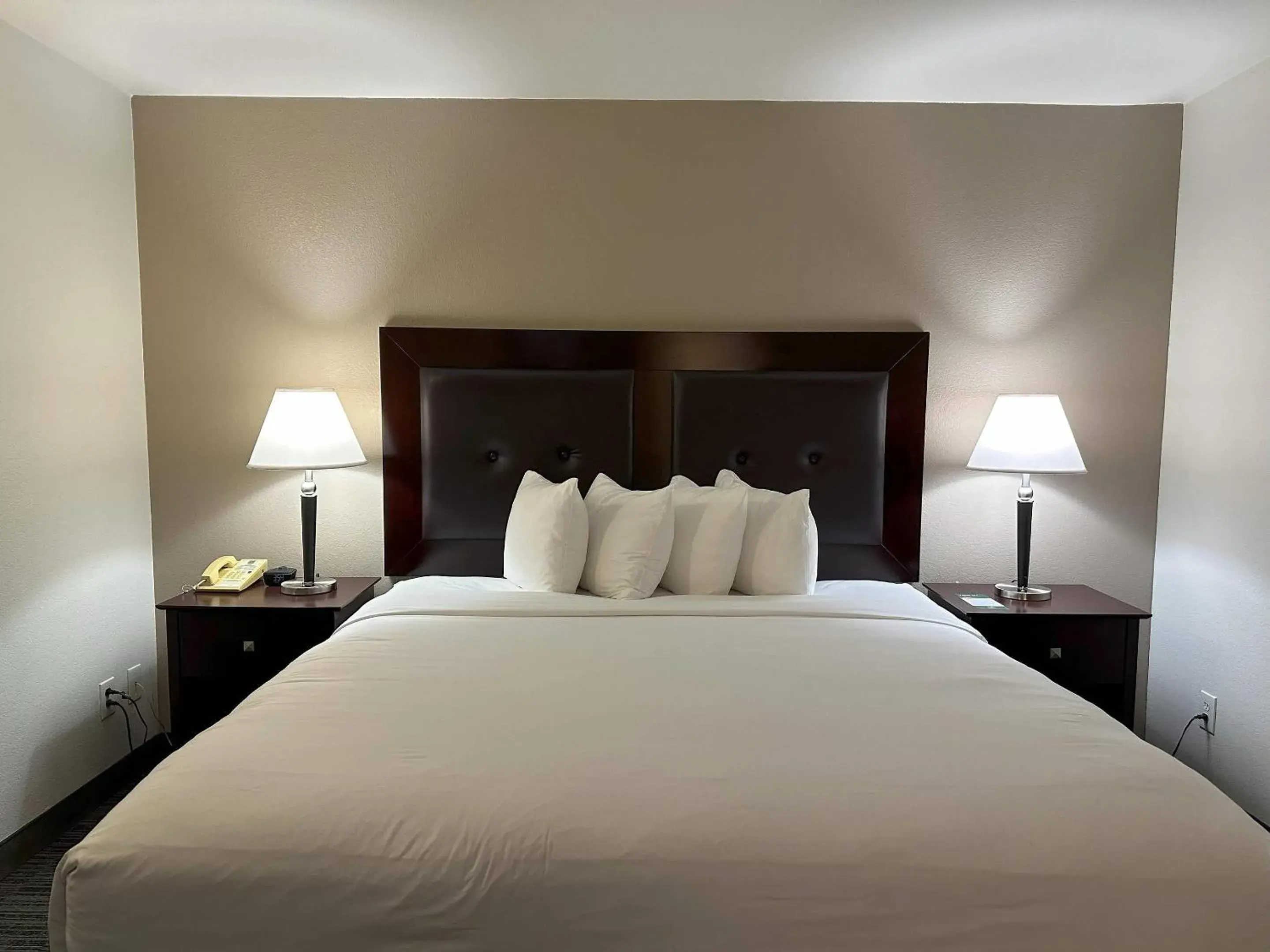 Bedroom, Bed in Quality Inn & Suites Everett Bedroom, Bed in Quality Inn & Suites Everett