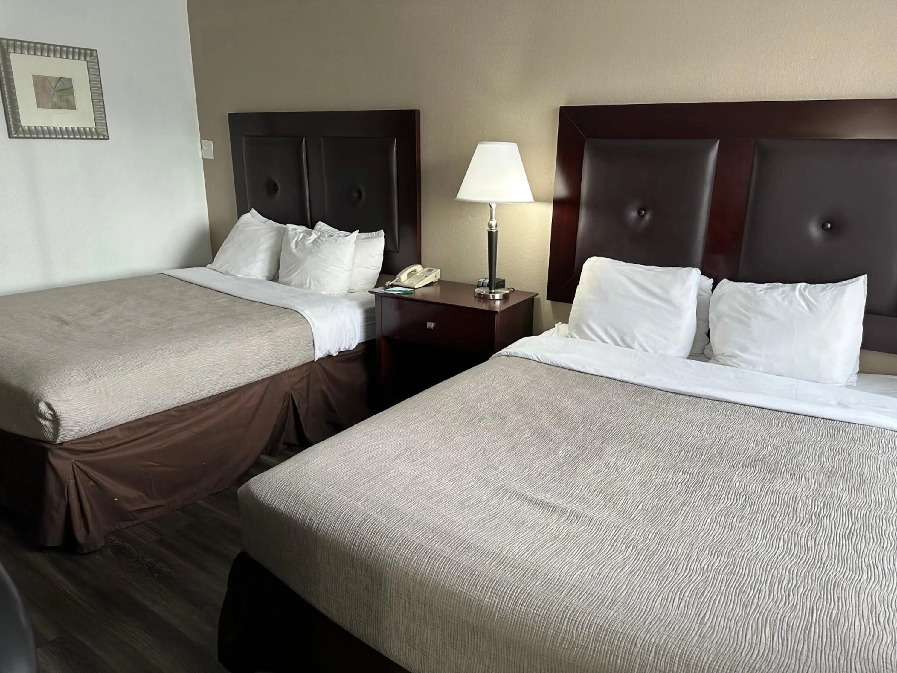 Bed in Quality Inn & Suites Everett