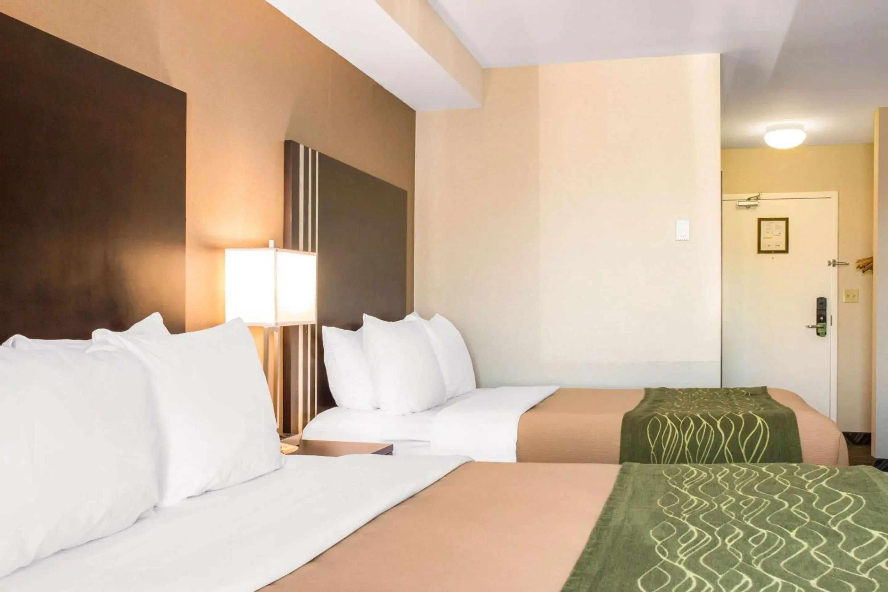 Bedroom, Bed in Comfort Inn Bedroom, Bed in Comfort Inn