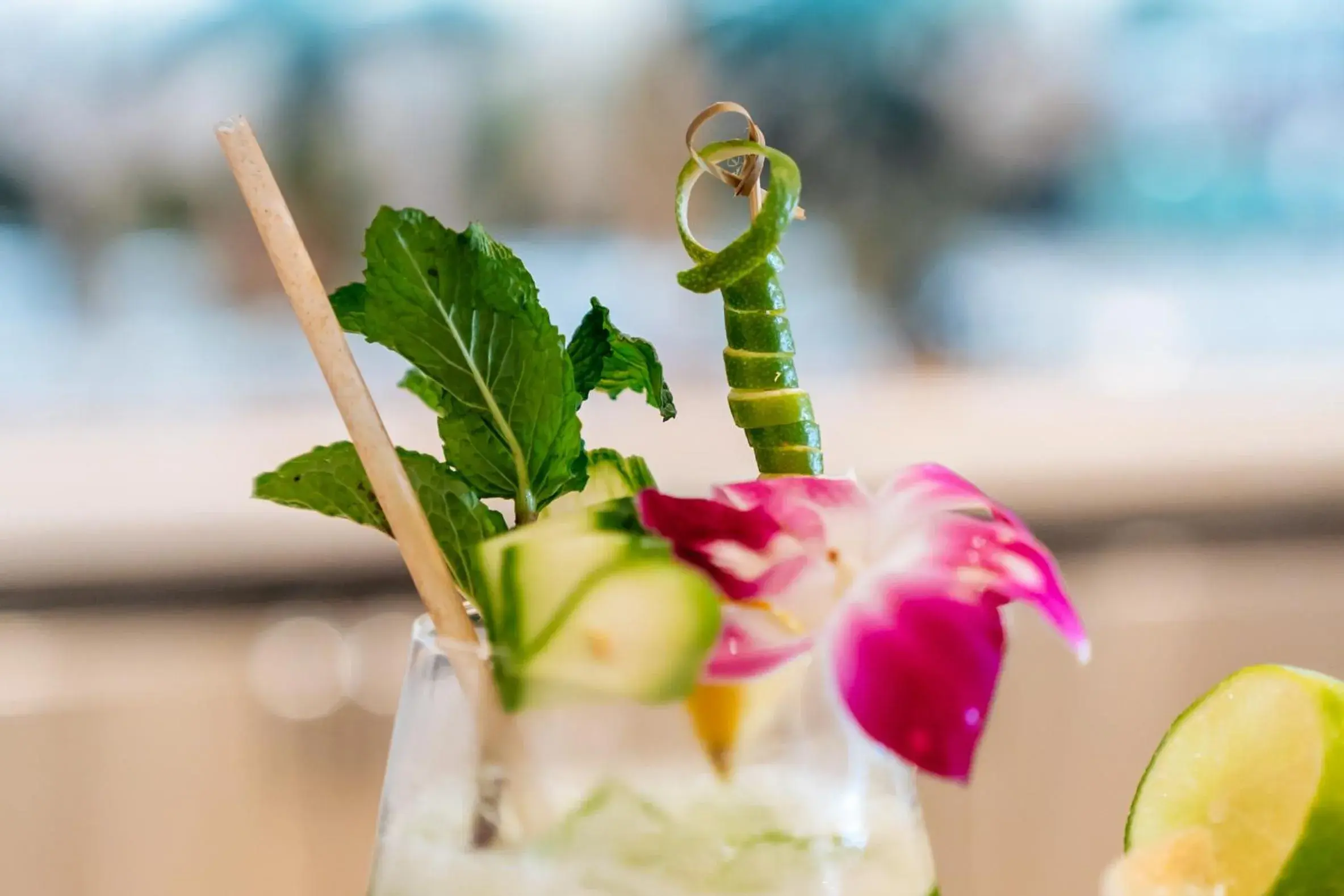 Swimming pool in Tideline Palm Beach Ocean Resort and Spa Swimming pool in Tideline Palm Beach Ocean Resort and Spa