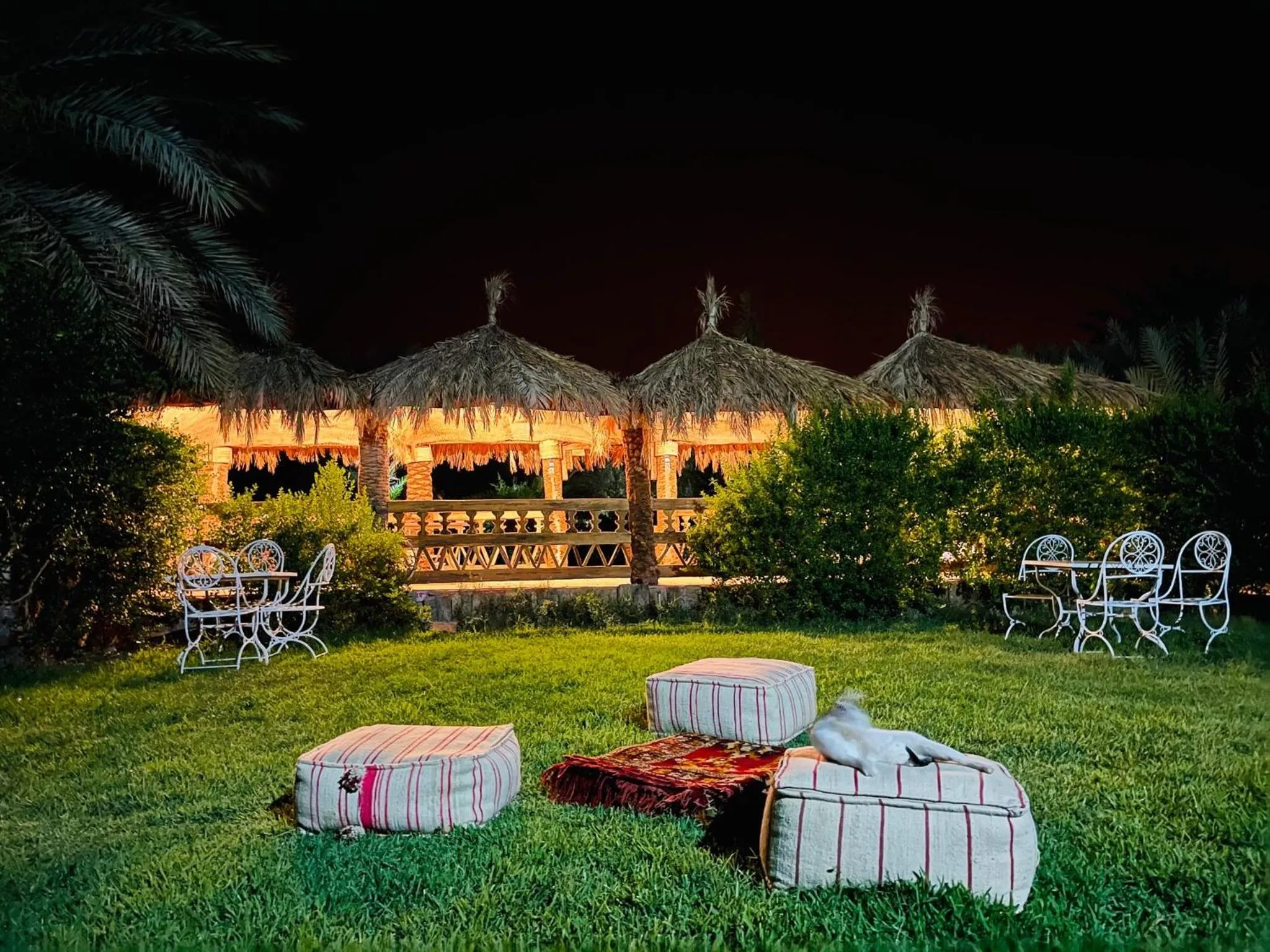 Garden in Paradis Touareg