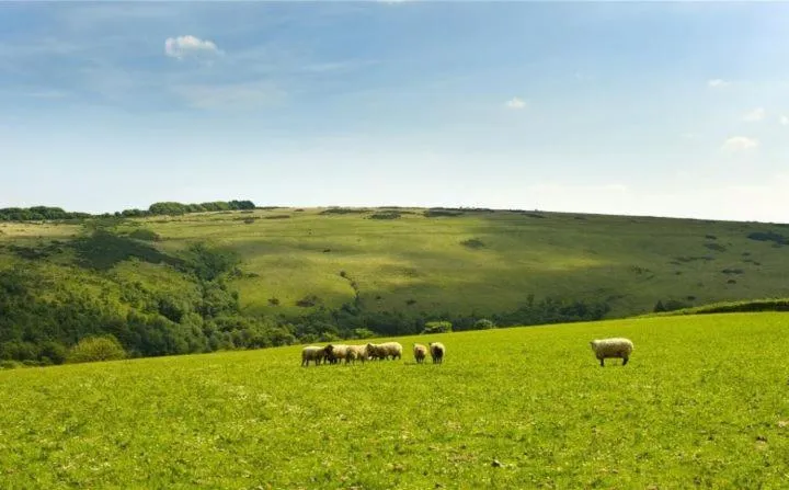 Property building in Zeal Farm