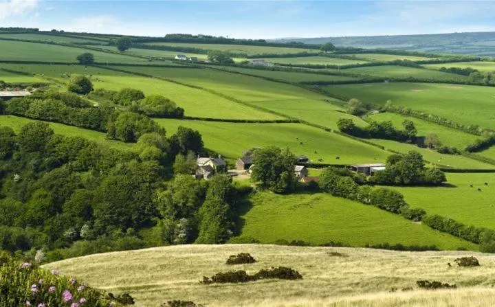 Property building in Zeal Farm