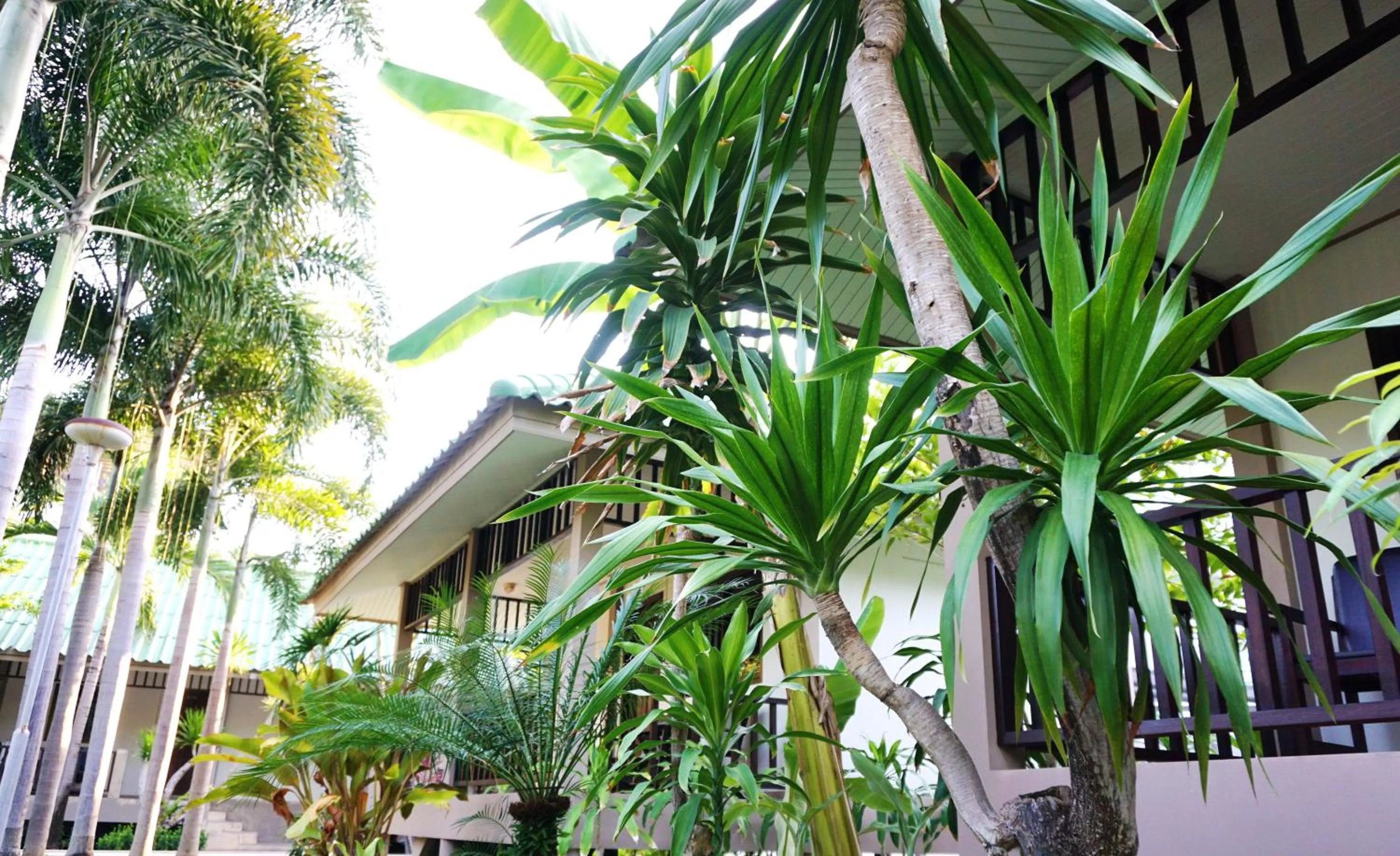 Balcony/Terrace in Lamai Inn 99 Bungalows