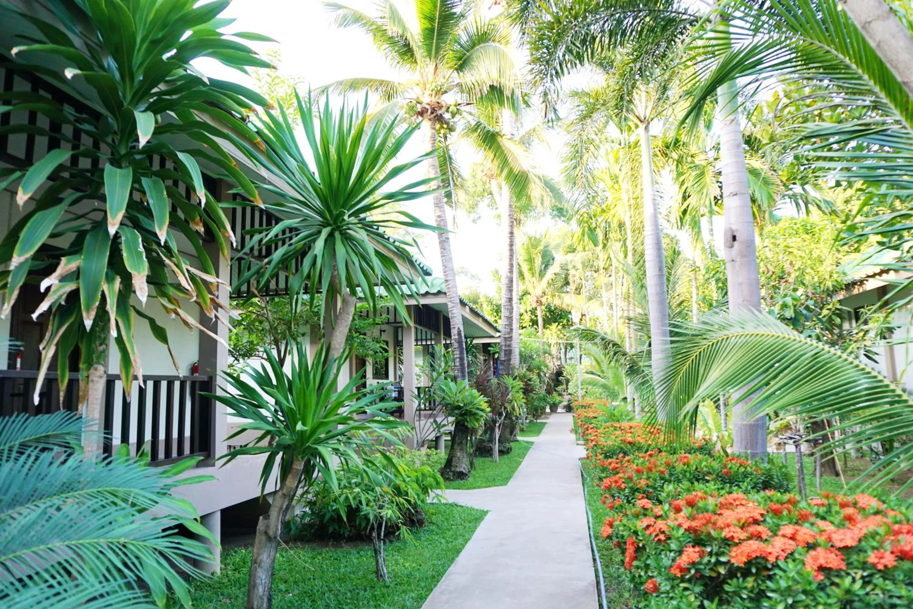 Garden view in Lamai Inn 99 Bungalows
