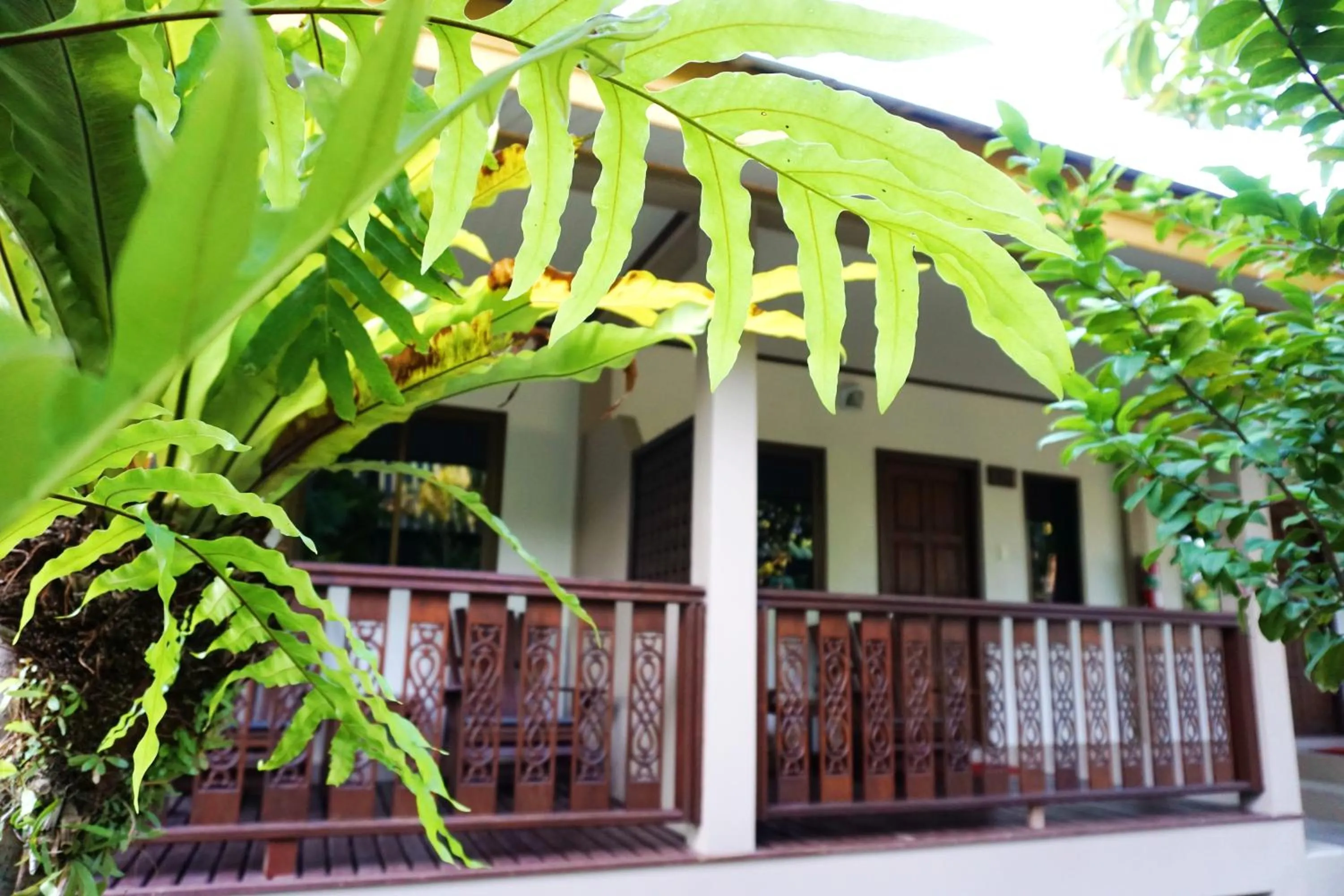 Balcony/Terrace in Lamai Inn 99 Bungalows
