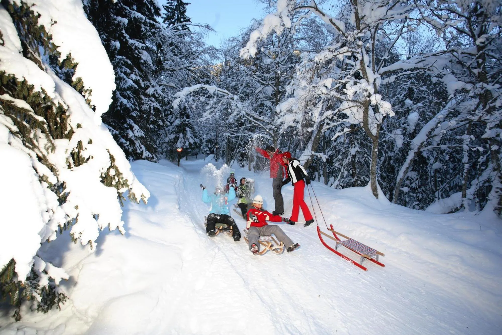 Skiing in Panoramahotel Burgeck