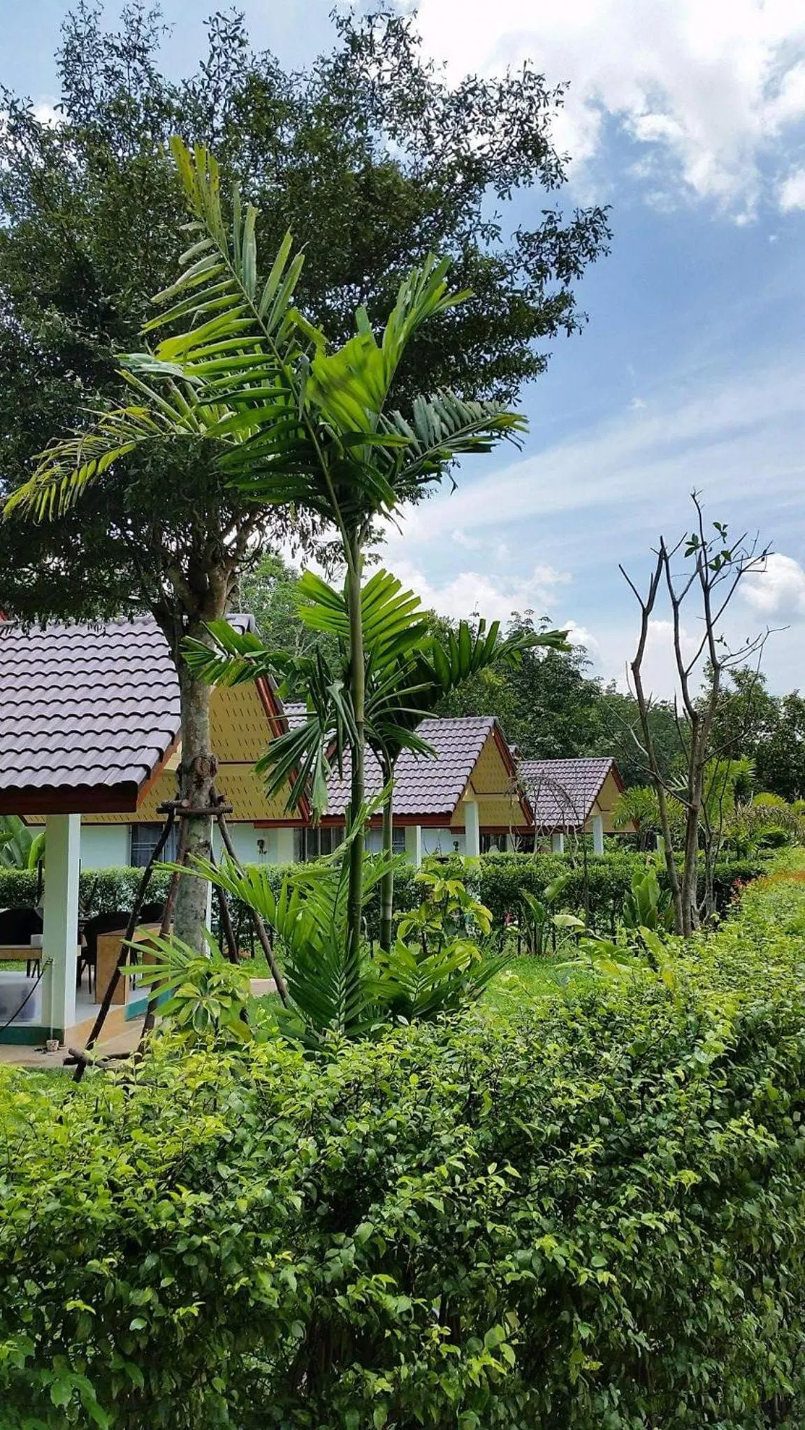 Garden in Thai Break Resort
