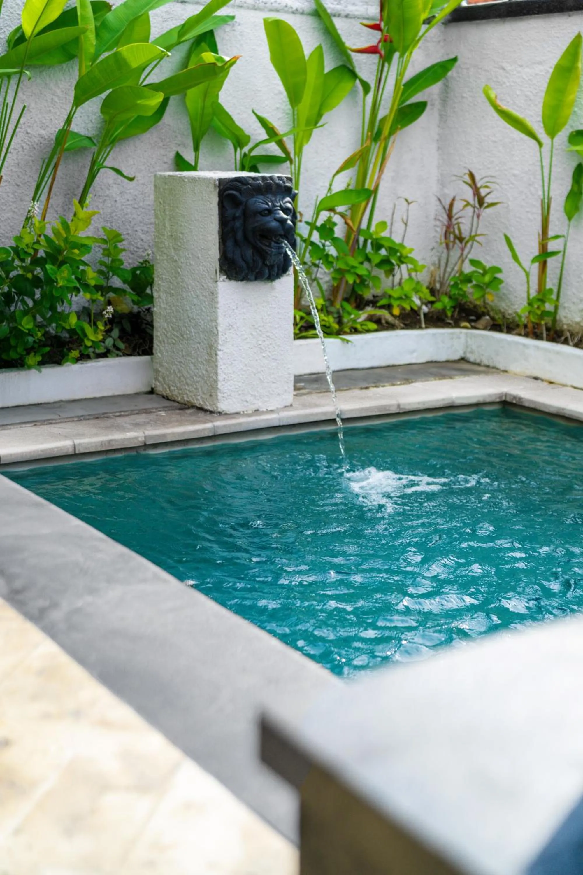 Pool view in The Club Villas Seminyak
