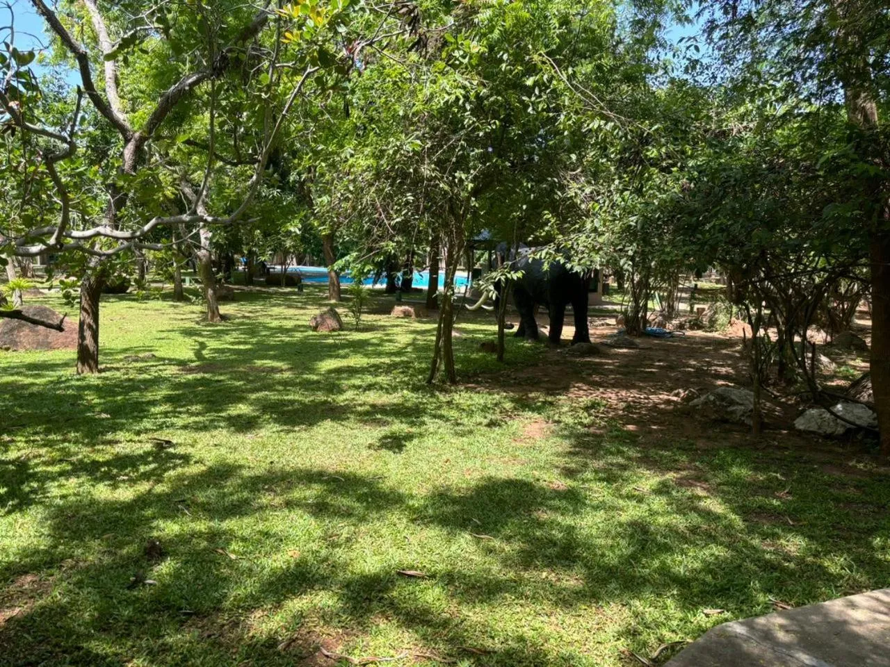 Garden view in Hotel Elephant Reach