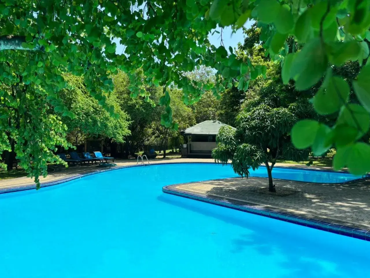 Pool view in Hotel Elephant Reach Pool view in Hotel Elephant Reach