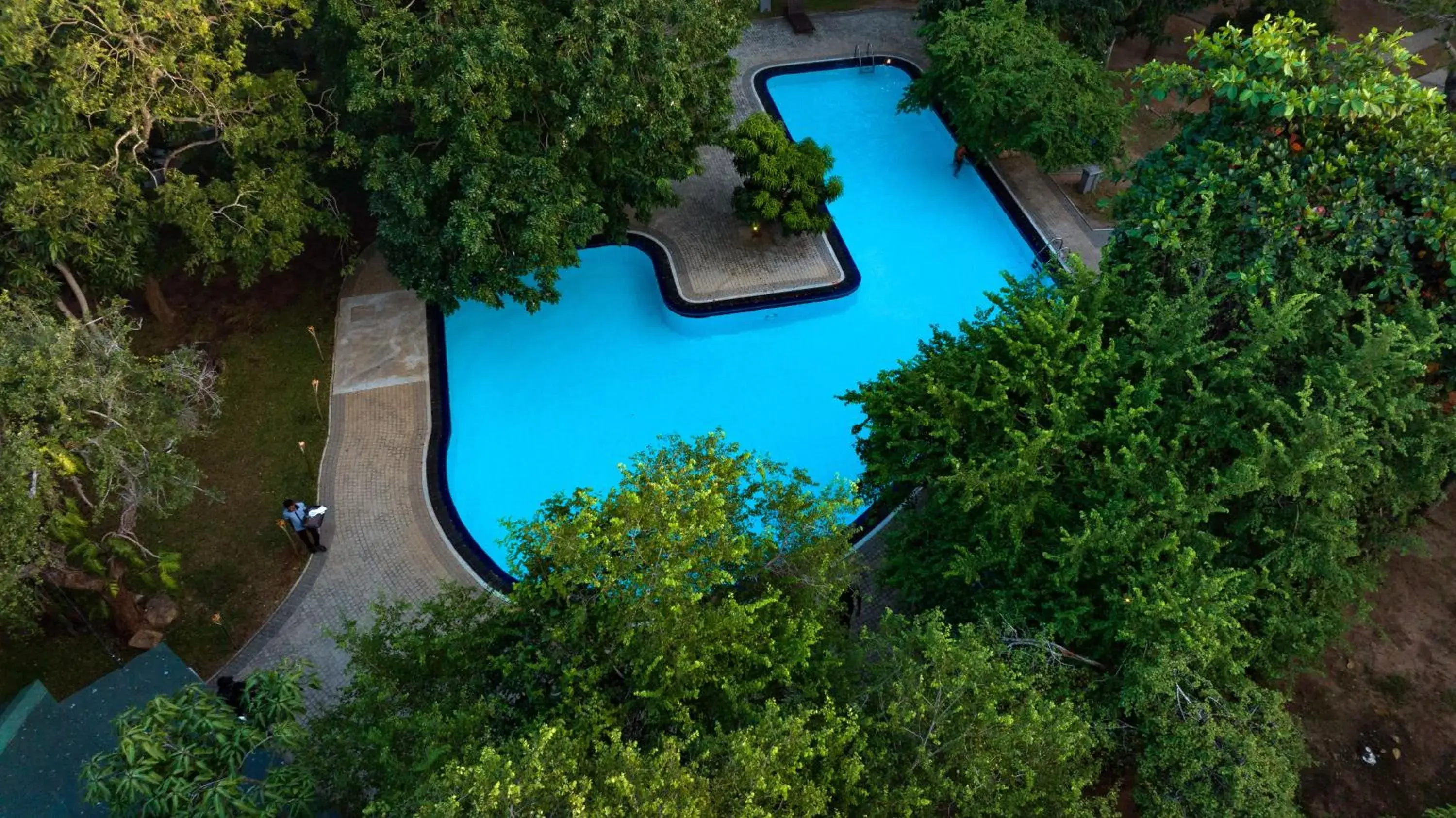 Pool view in Hotel Elephant Reach Pool view in Hotel Elephant Reach