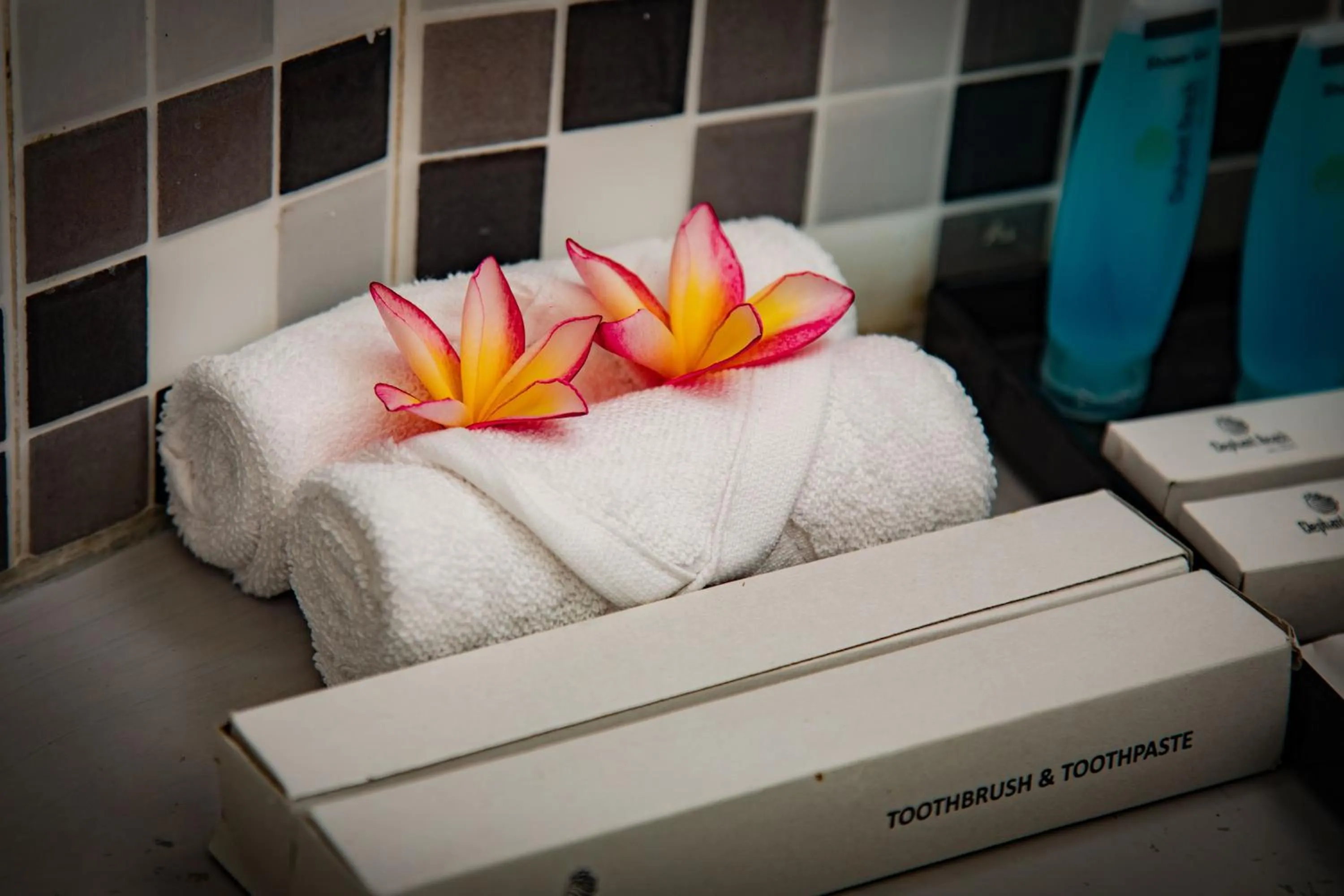 towels in Hotel Elephant Reach