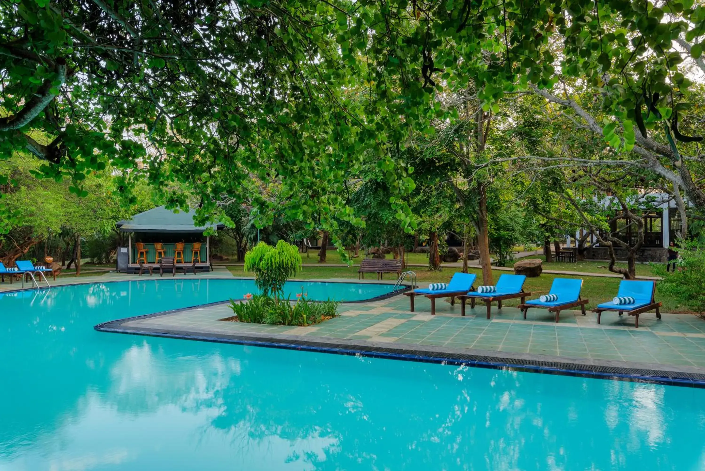 Swimming pool in Hotel Elephant Reach Swimming pool in Hotel Elephant Reach