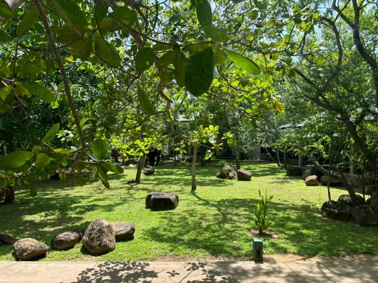 Garden view in Hotel Elephant Reach