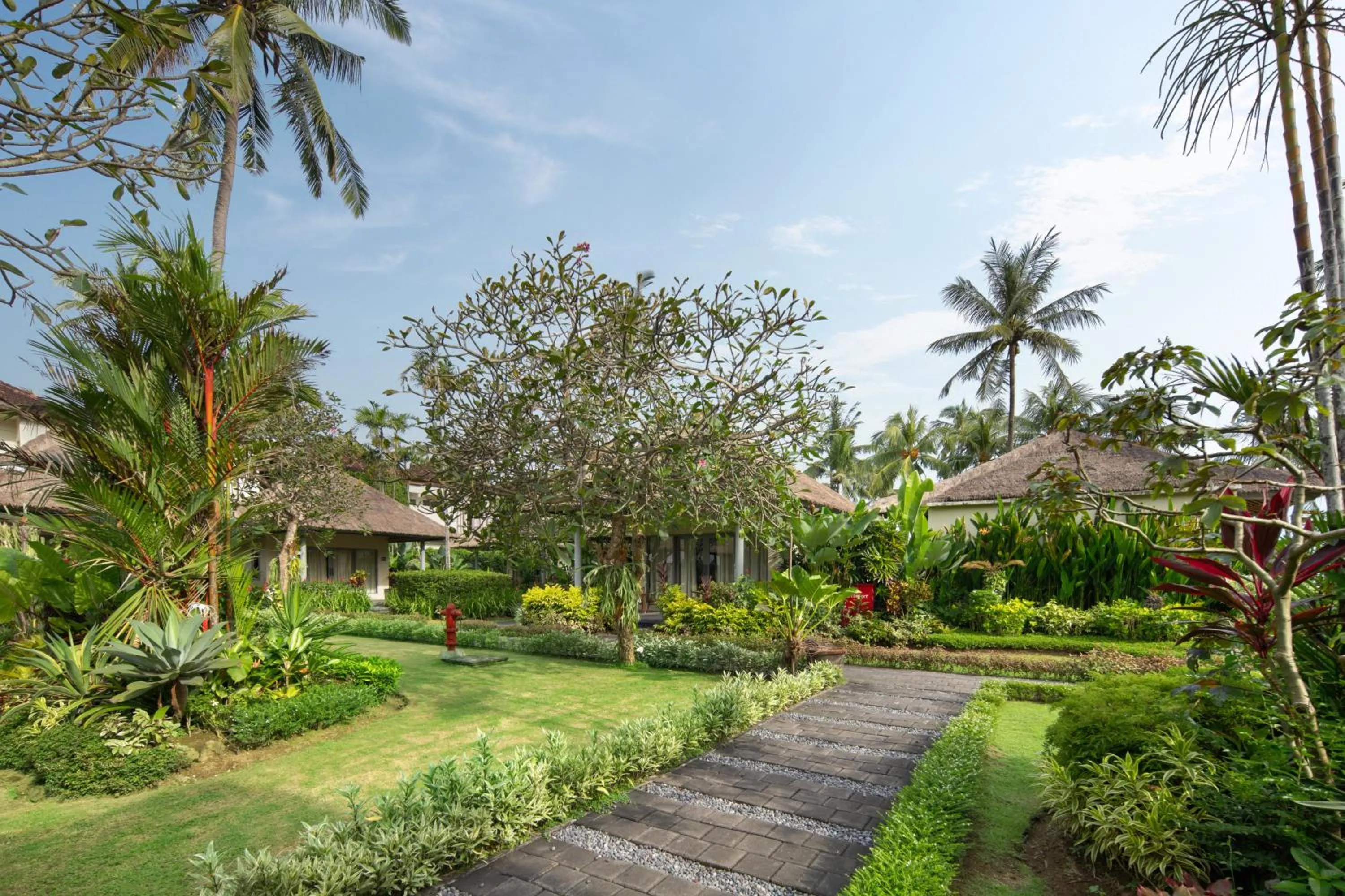 Garden in Nirwana Beach & Resort