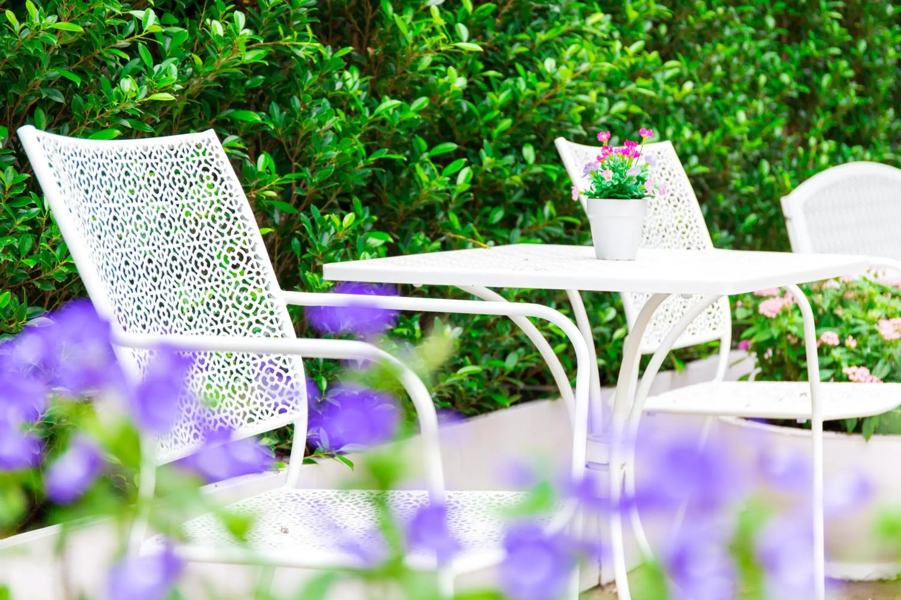 Garden view in Lilac Relax-Residence Garden view in Lilac Relax-Residence