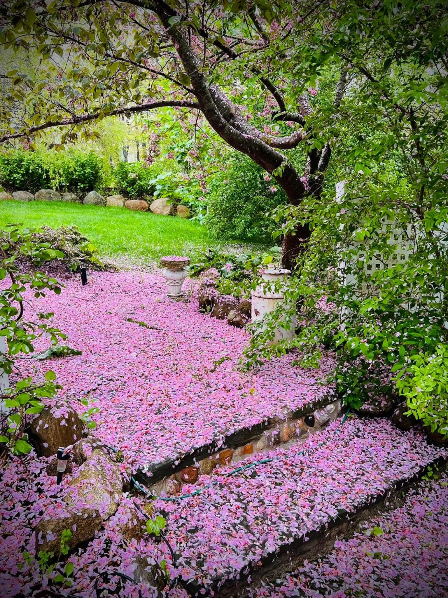 Spring in Frederick William House