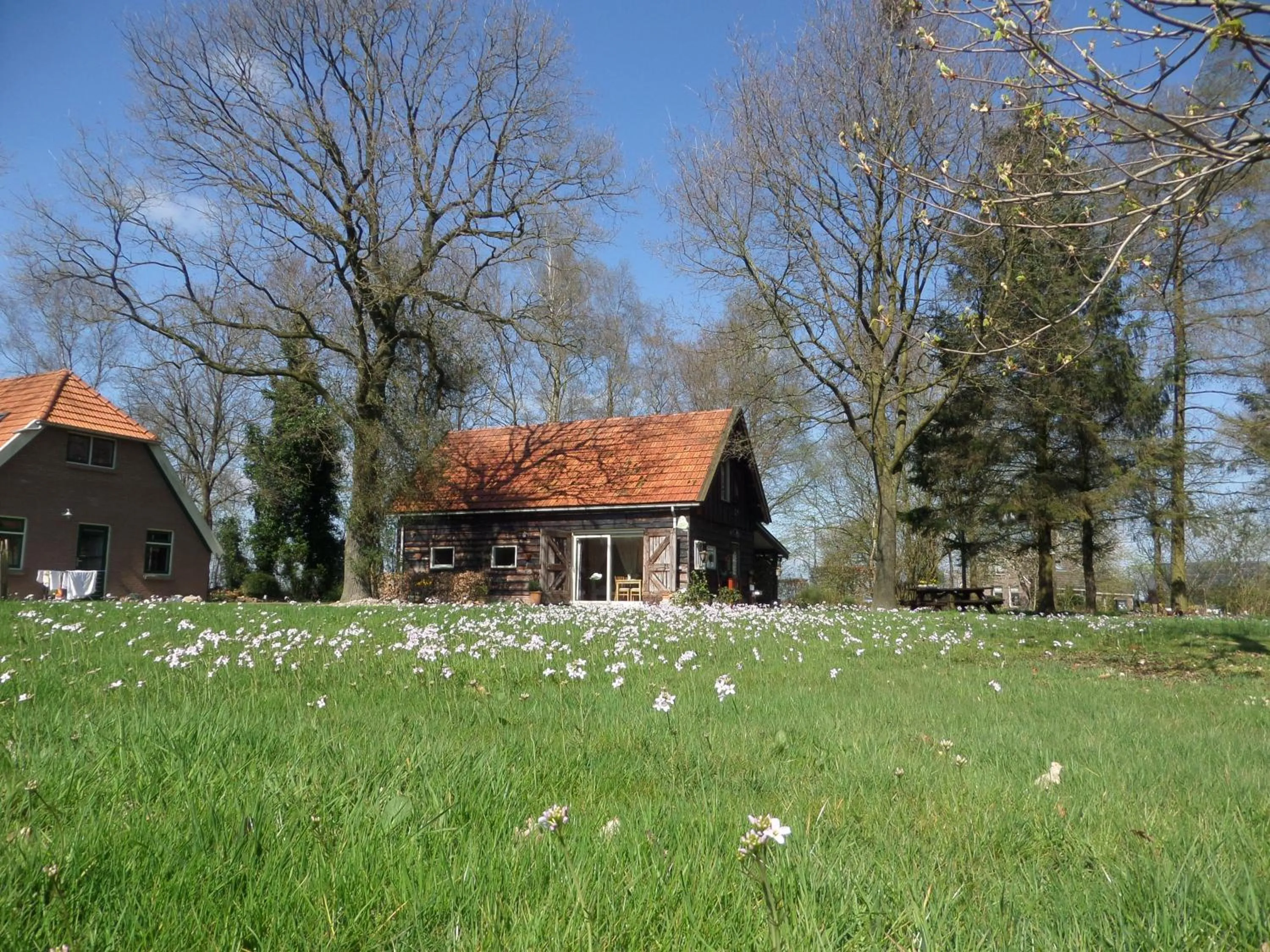 Spring in mekelermeer