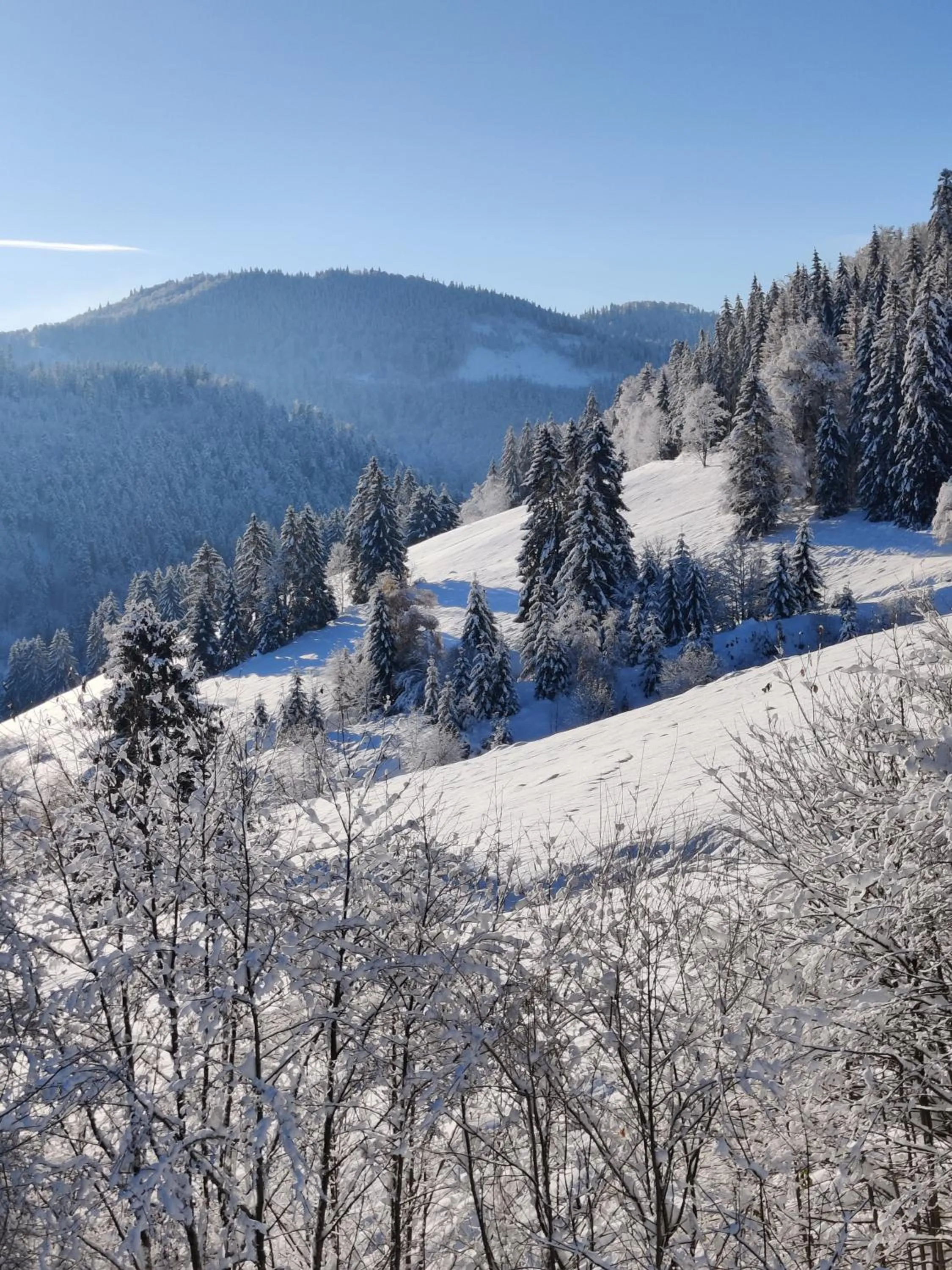 View (from property/room) in Berggasthaus Präger Böden