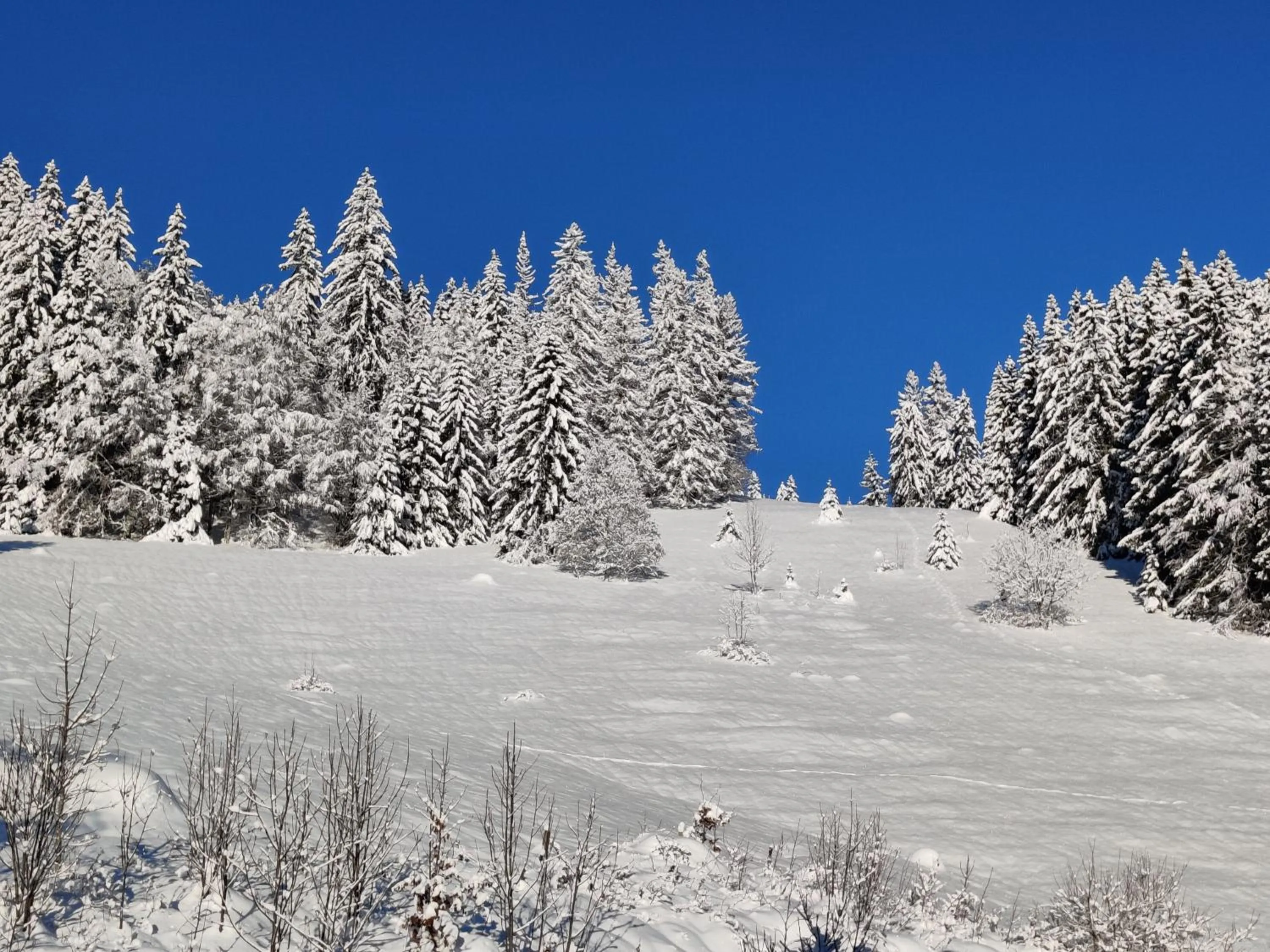 Mountain view in Berggasthaus Präger Böden