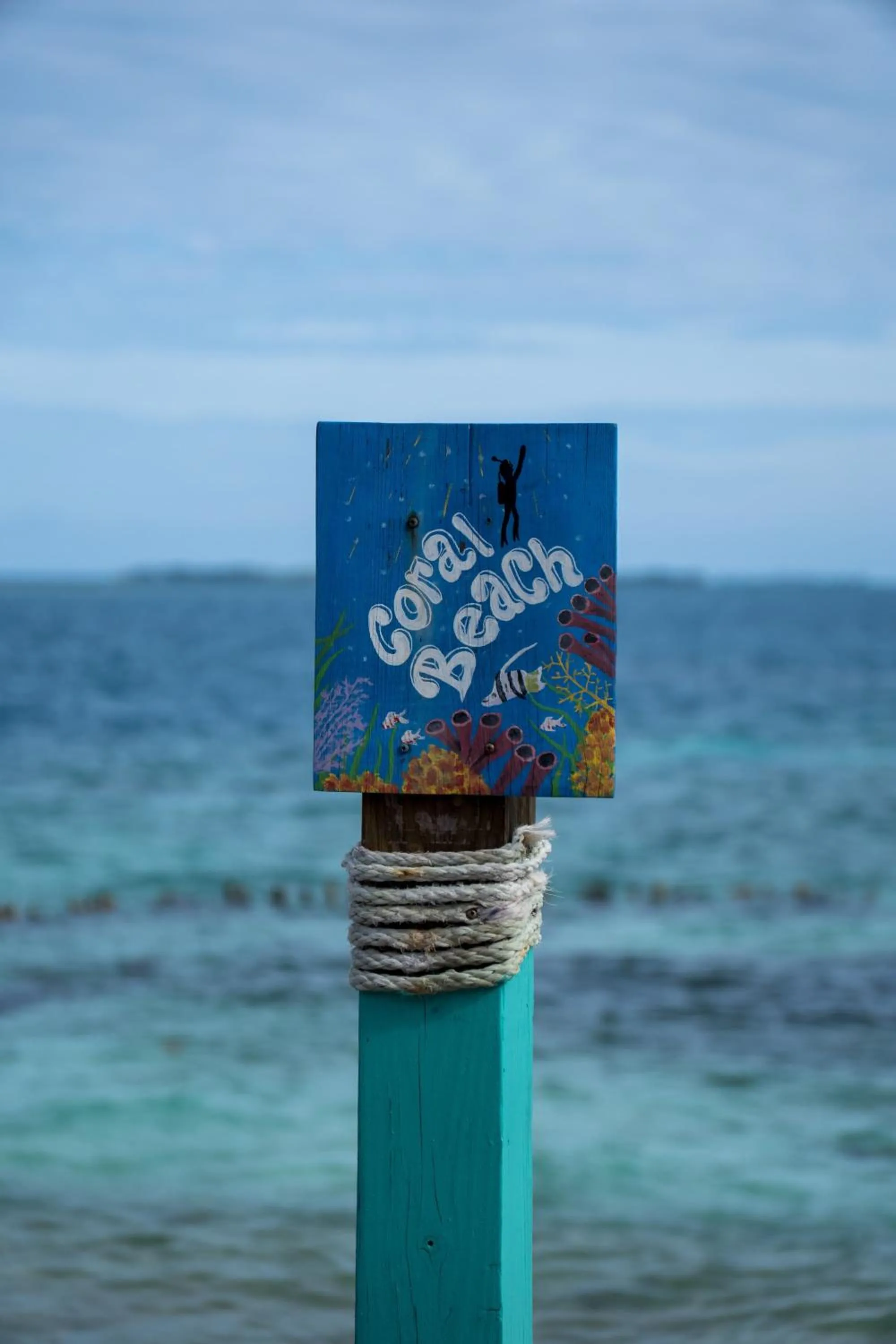 King Lewey's Island Resort