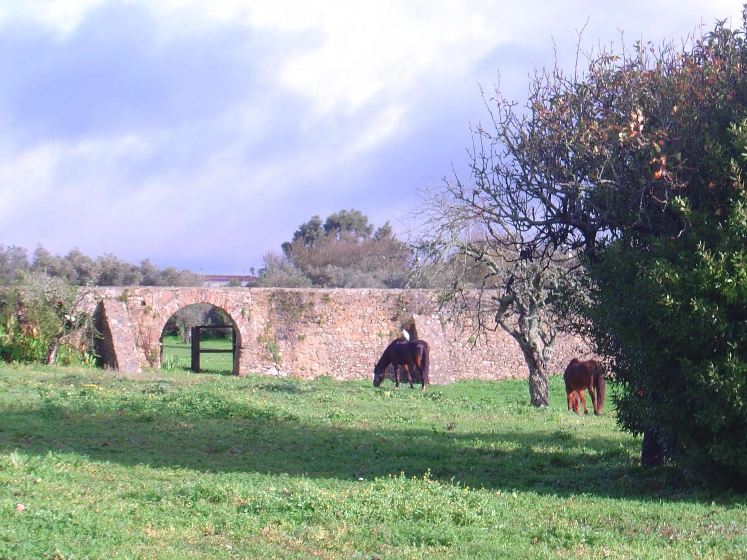 Horse-riding in Quinta Do Scoto