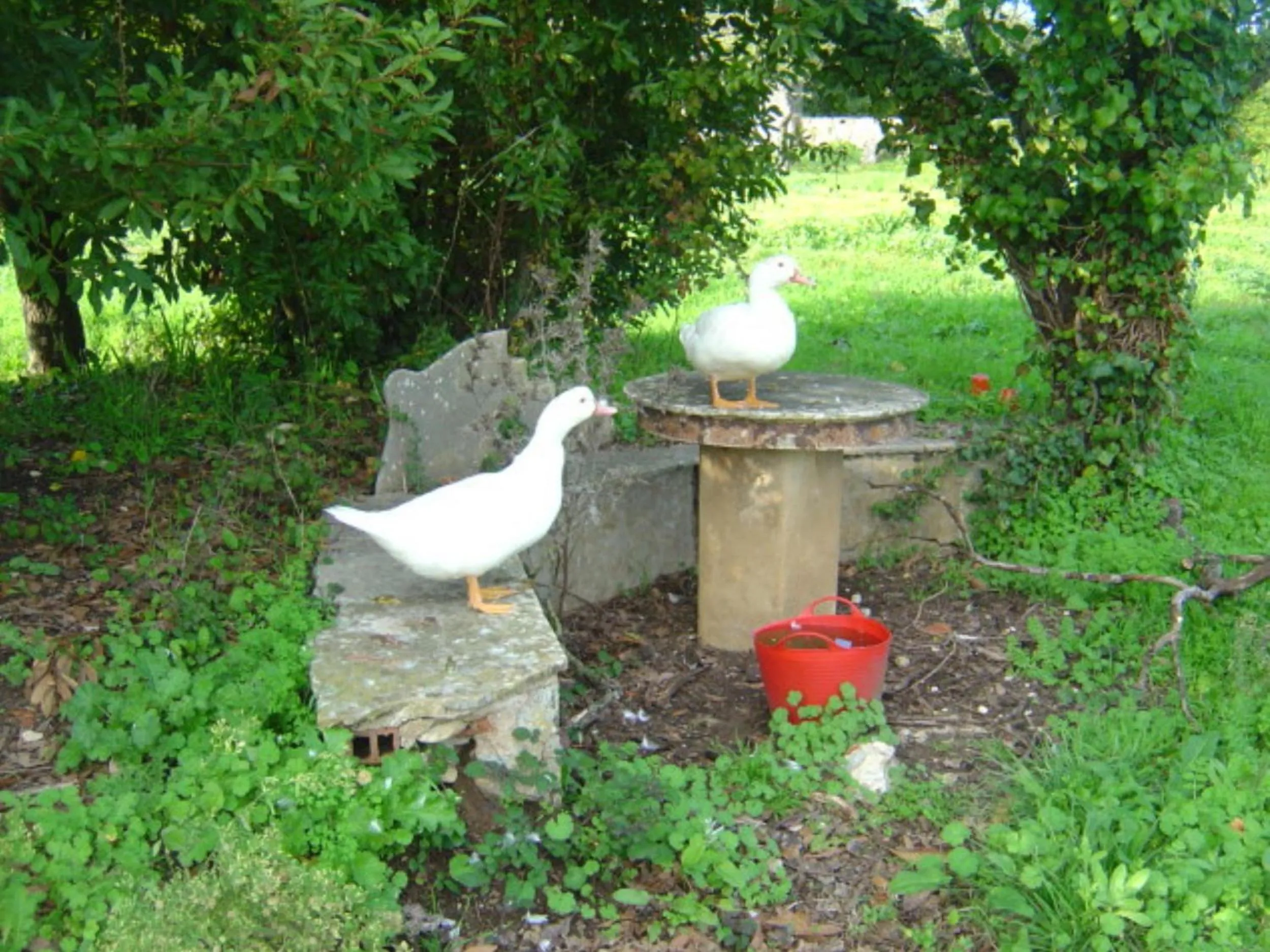Facade/entrance in Quinta Do Scoto