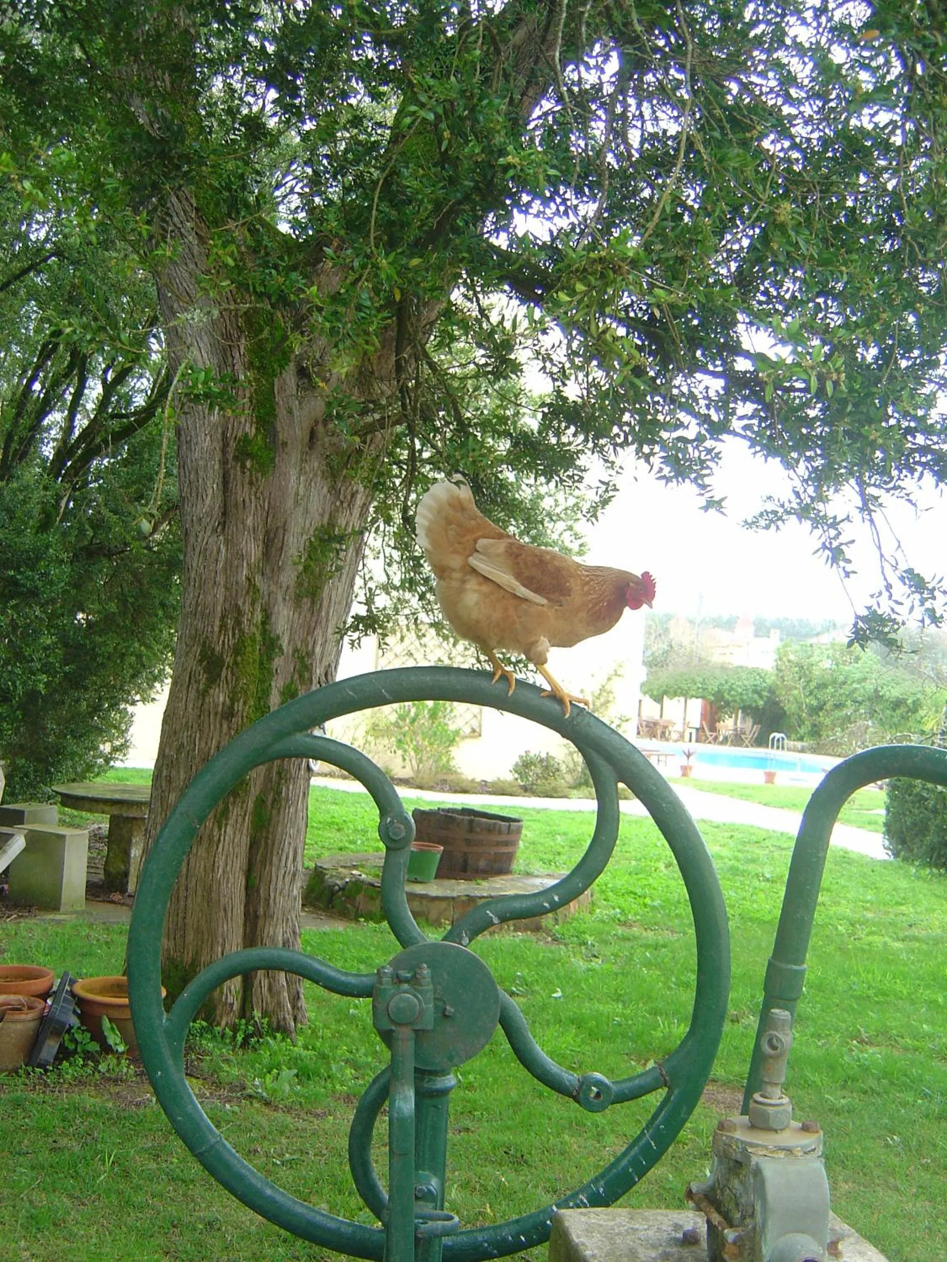 Facade/entrance in Quinta Do Scoto