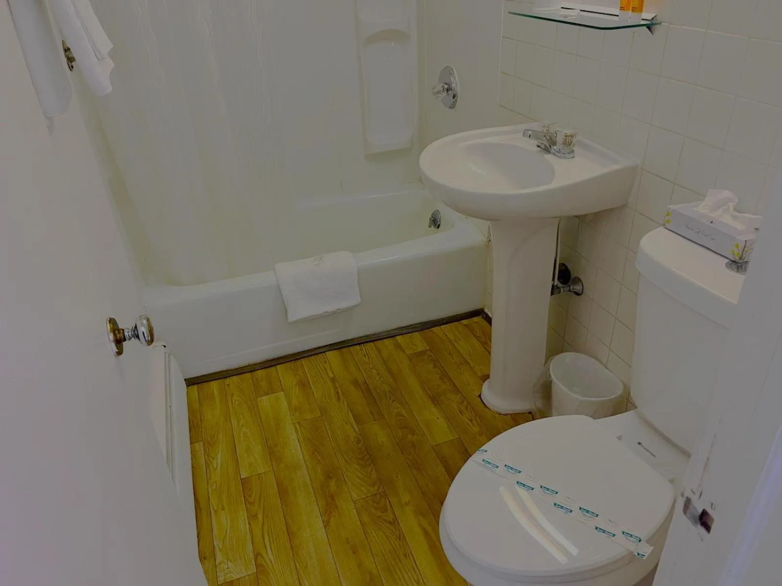 Buena Vista Inn Motel