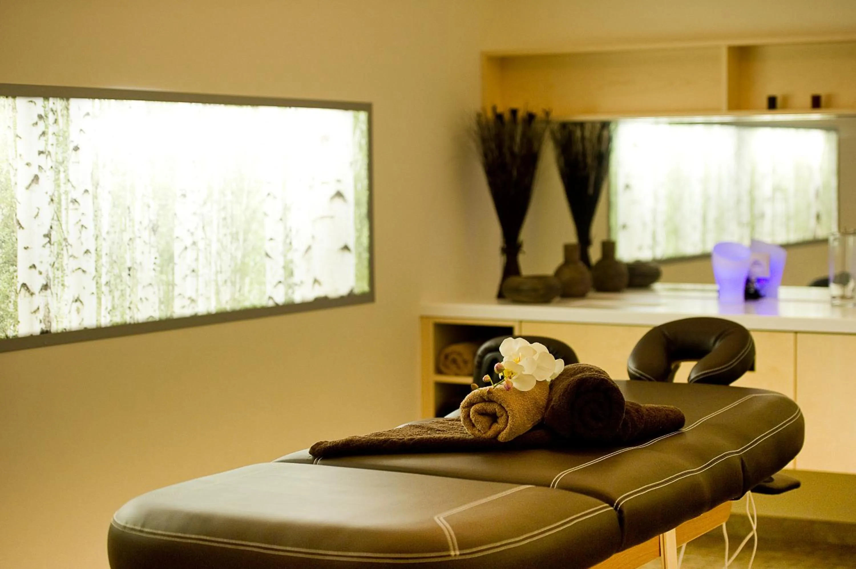 Spa and wellness centre/facilities in ibis Styles Saint Julien en Genevois Vitam