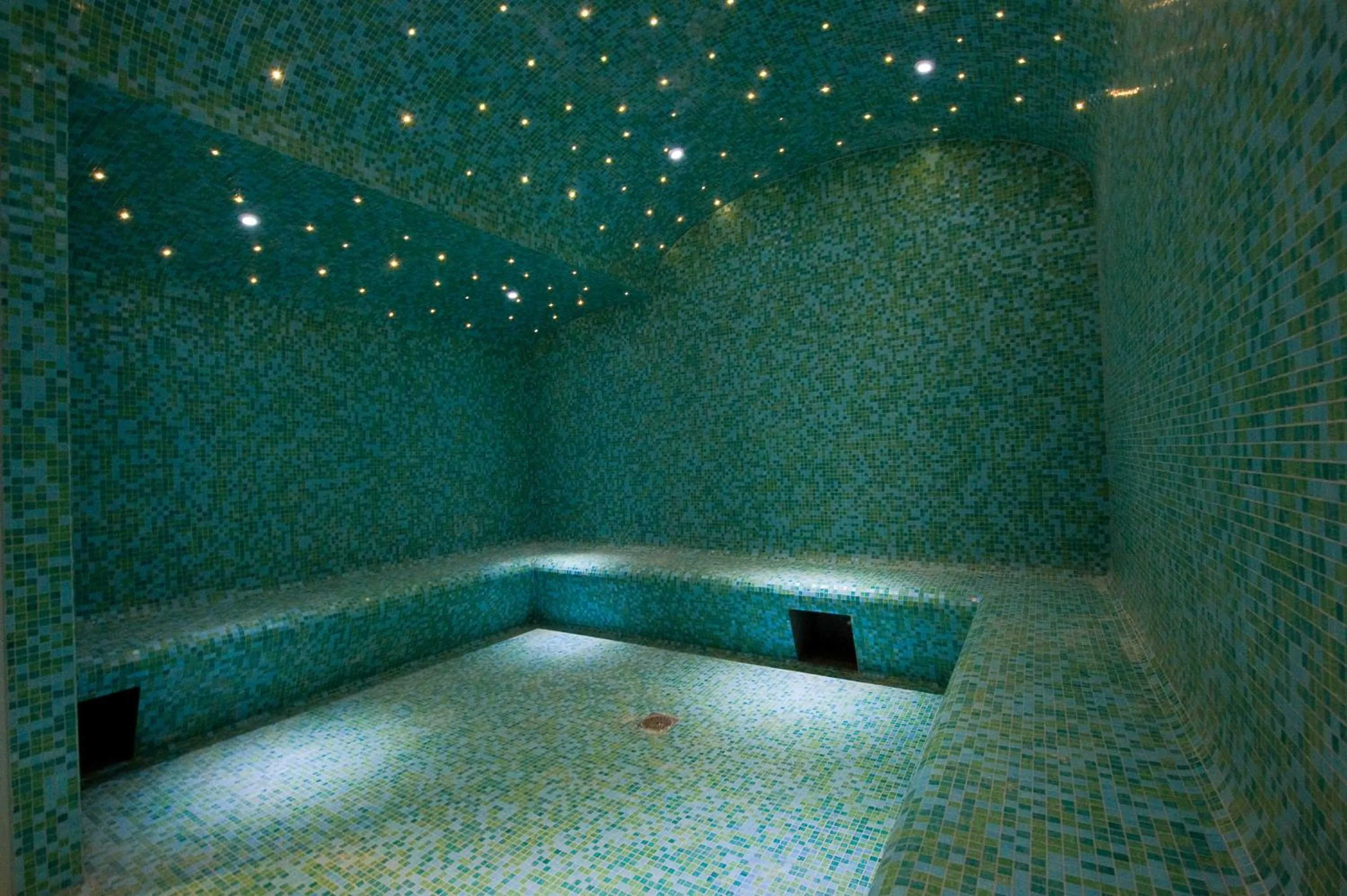 Spa and wellness centre/facilities in ibis Styles Saint Julien en Genevois Vitam