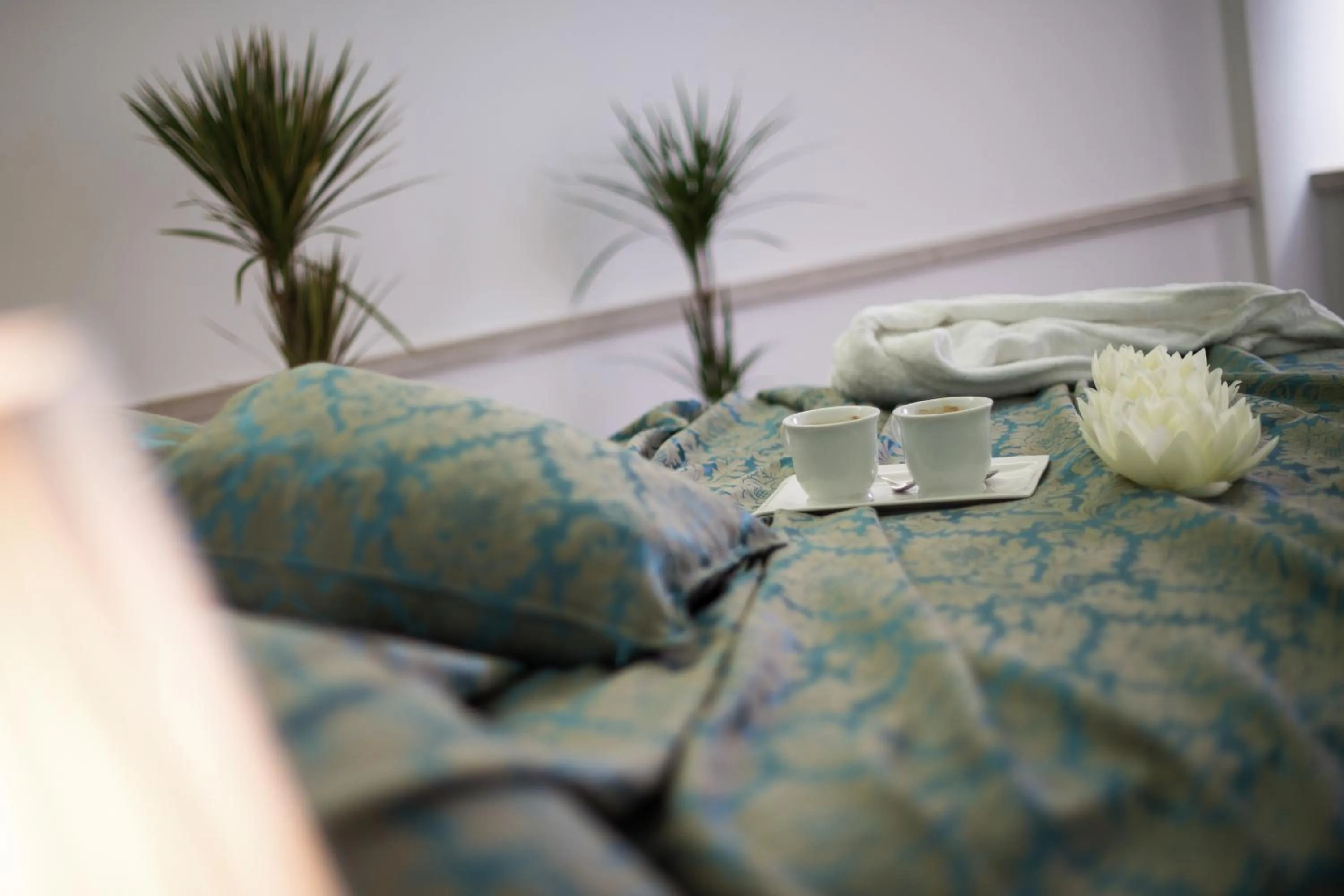 Food, Bed in Hotel Boutique Natka