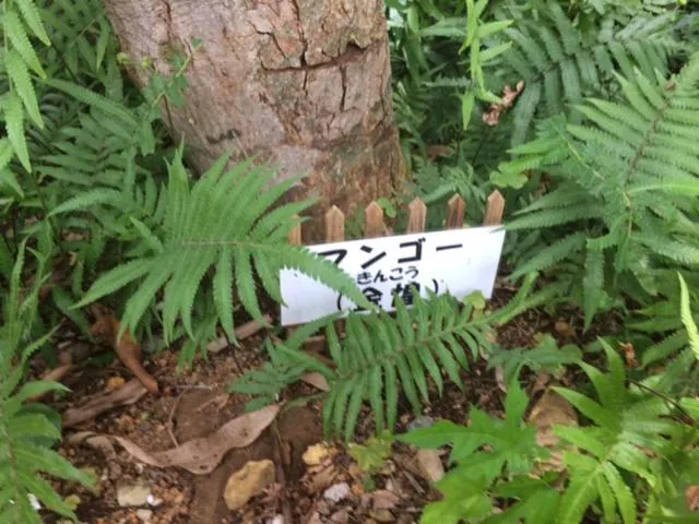 On site in Makiya Tokusukeya