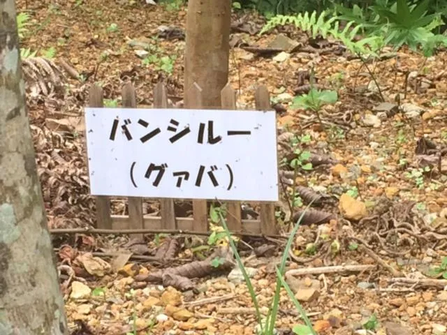 On site in Makiya Tokusukeya