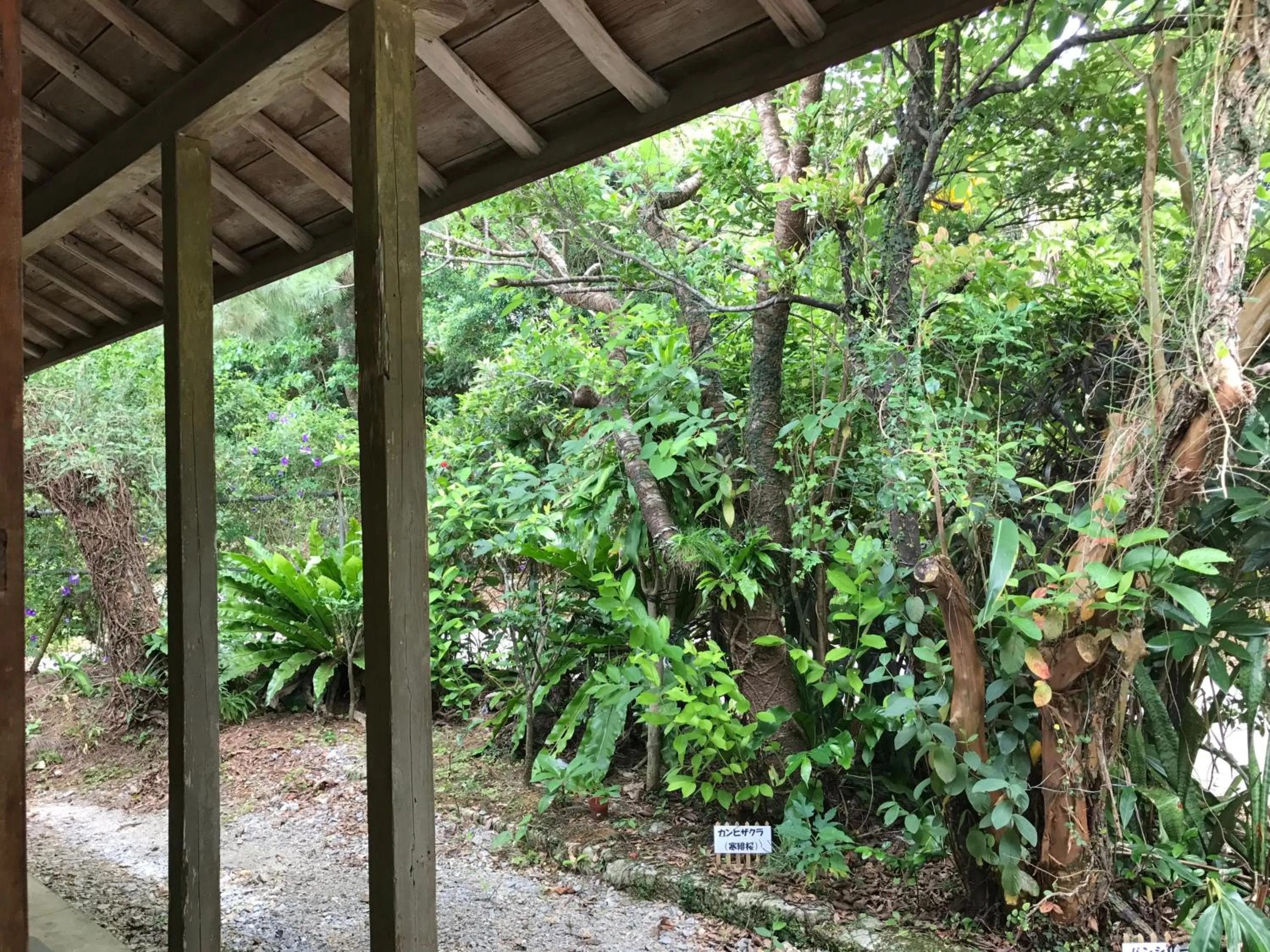 Garden in Makiya Tokusukeya