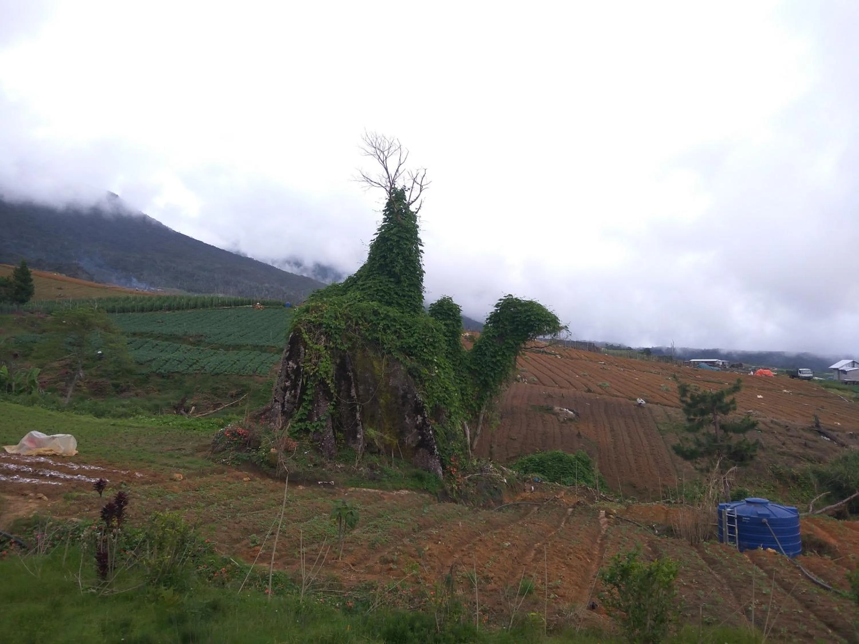 Property building in Mesilau Mountain Retreats