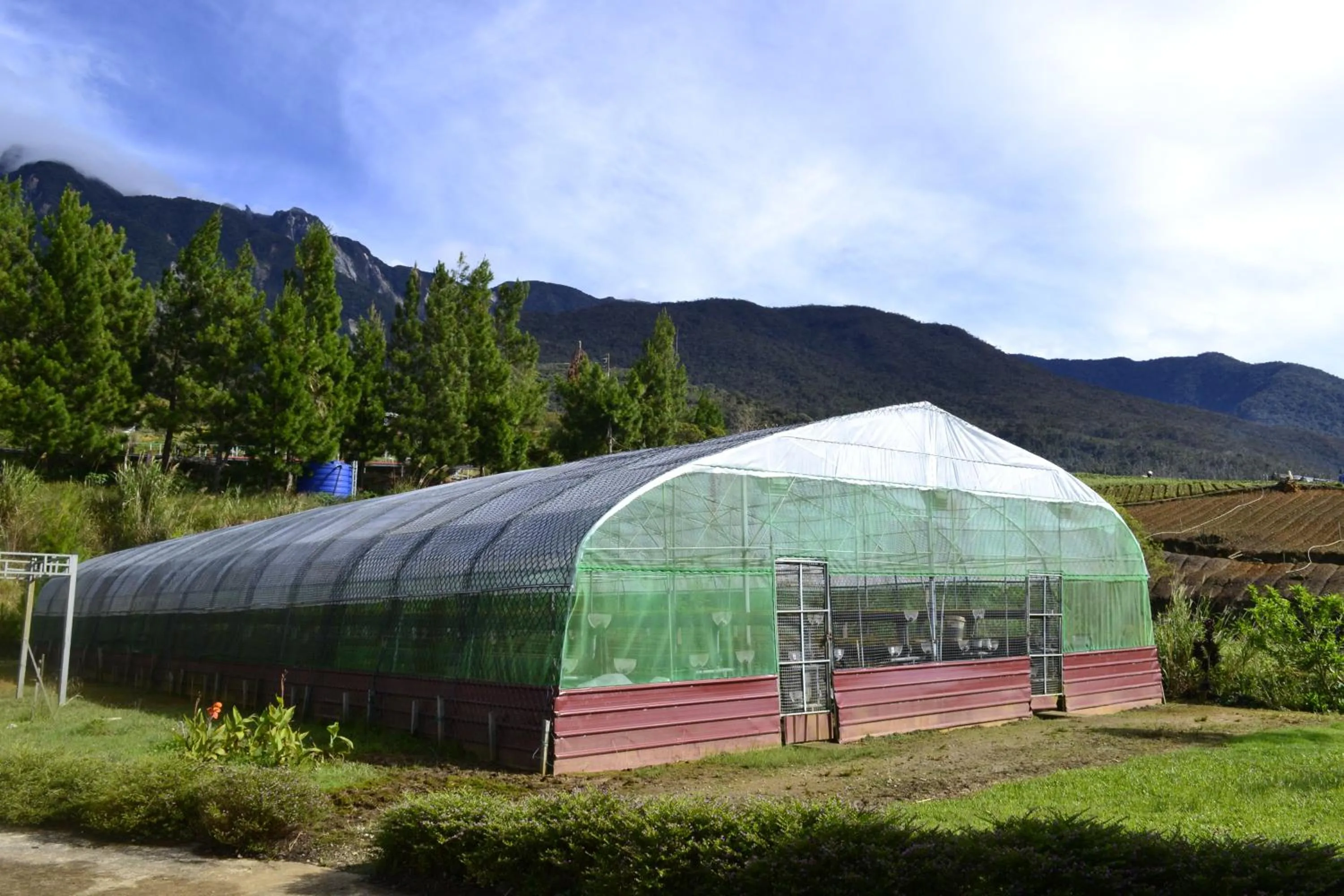 Nearby landmark in Mesilau Mountain Retreats