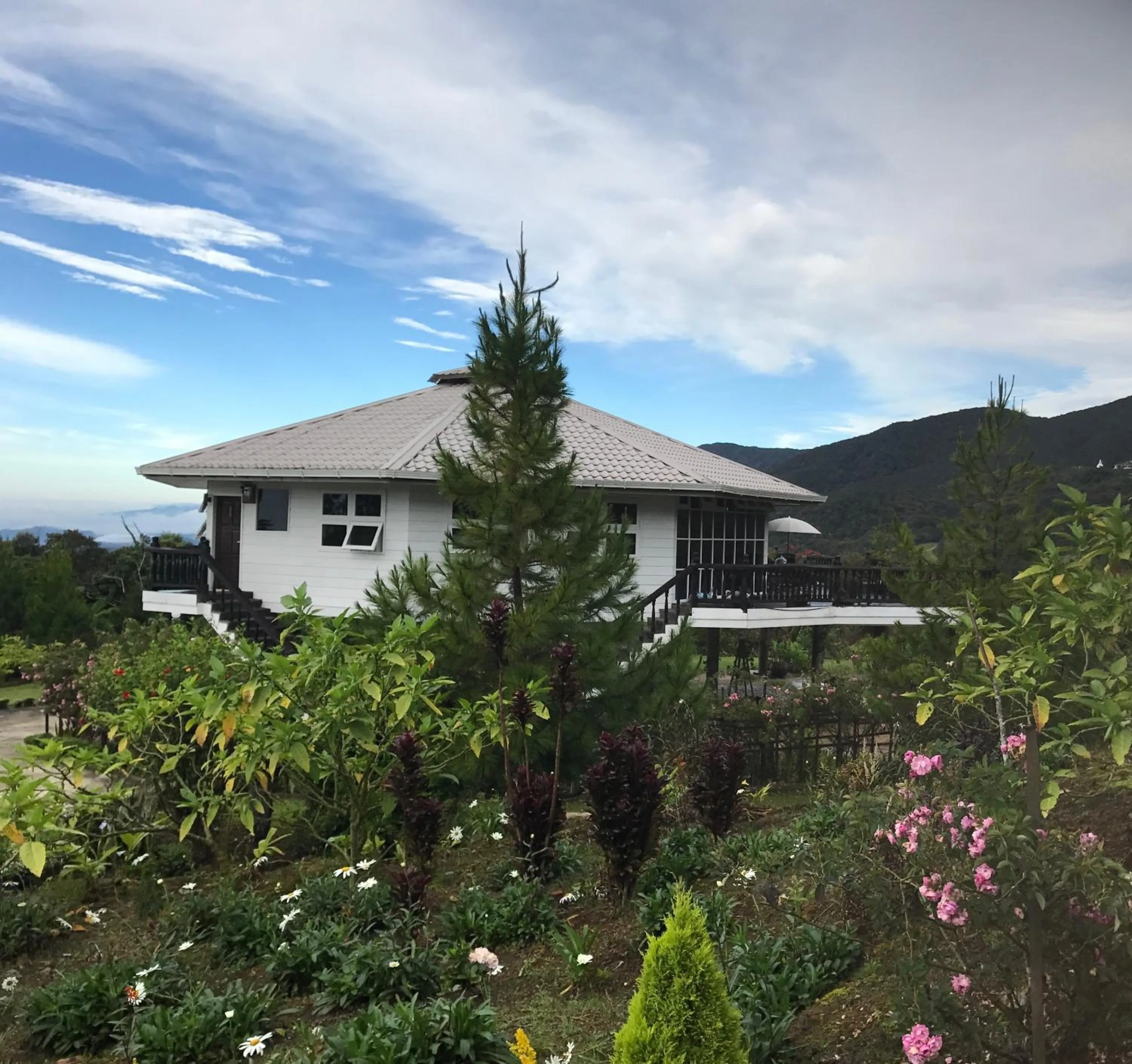 Property building in Mesilau Mountain Retreats