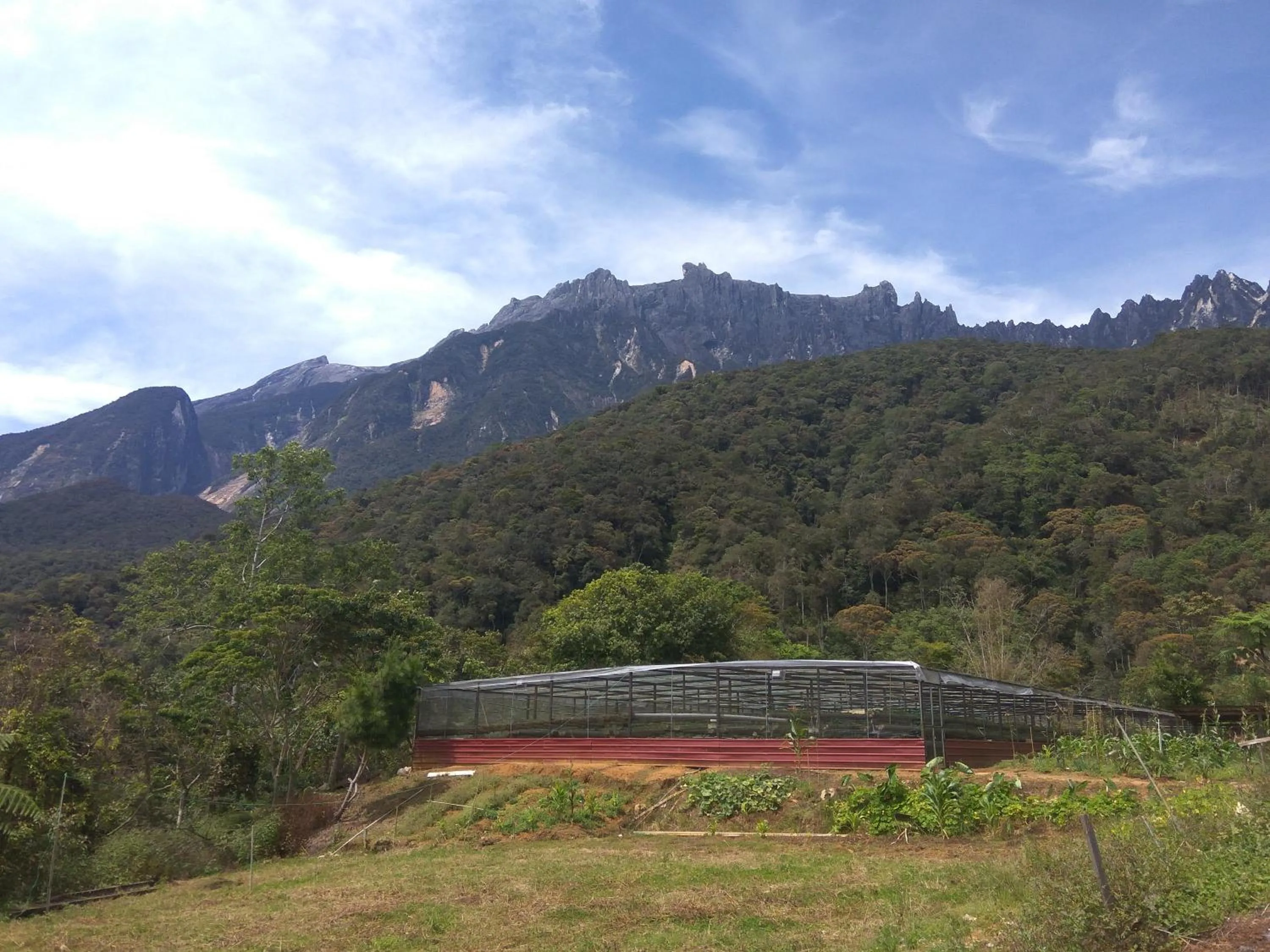 Property building in Mesilau Mountain Retreats