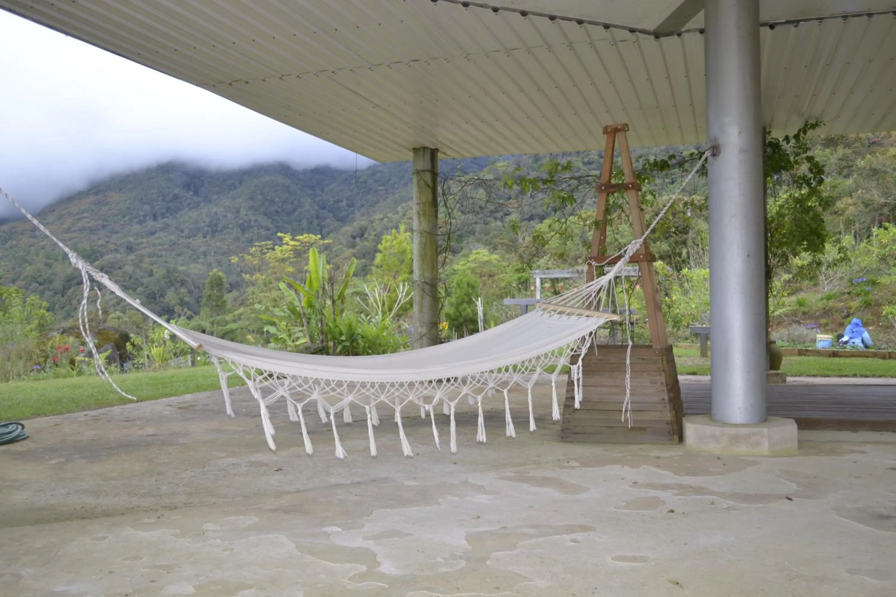 Property building in Mesilau Mountain Retreats